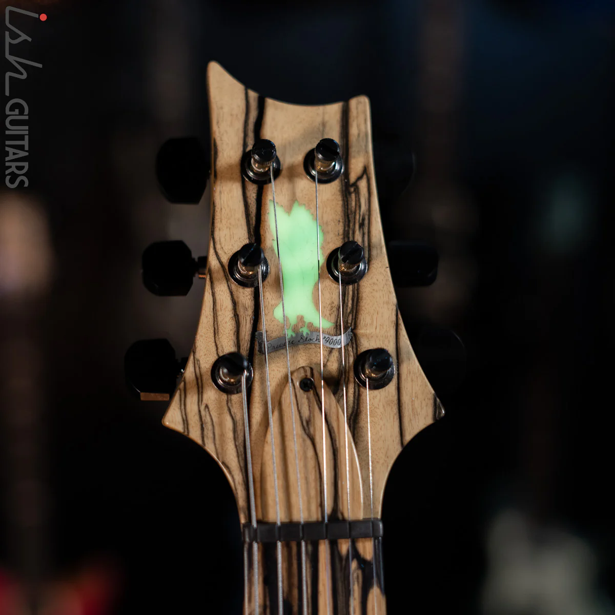PRS Custom 24 Private Stock Pale #9000 Moon Ebony Swamp Ash - Image 11