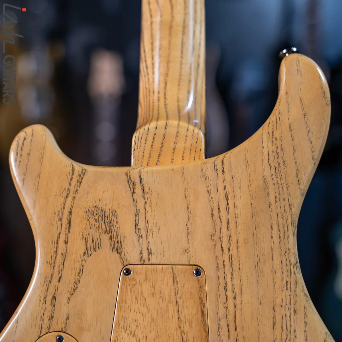 PRS Custom 24 Private Stock Pale #9000 Moon Ebony Swamp Ash - Image 15