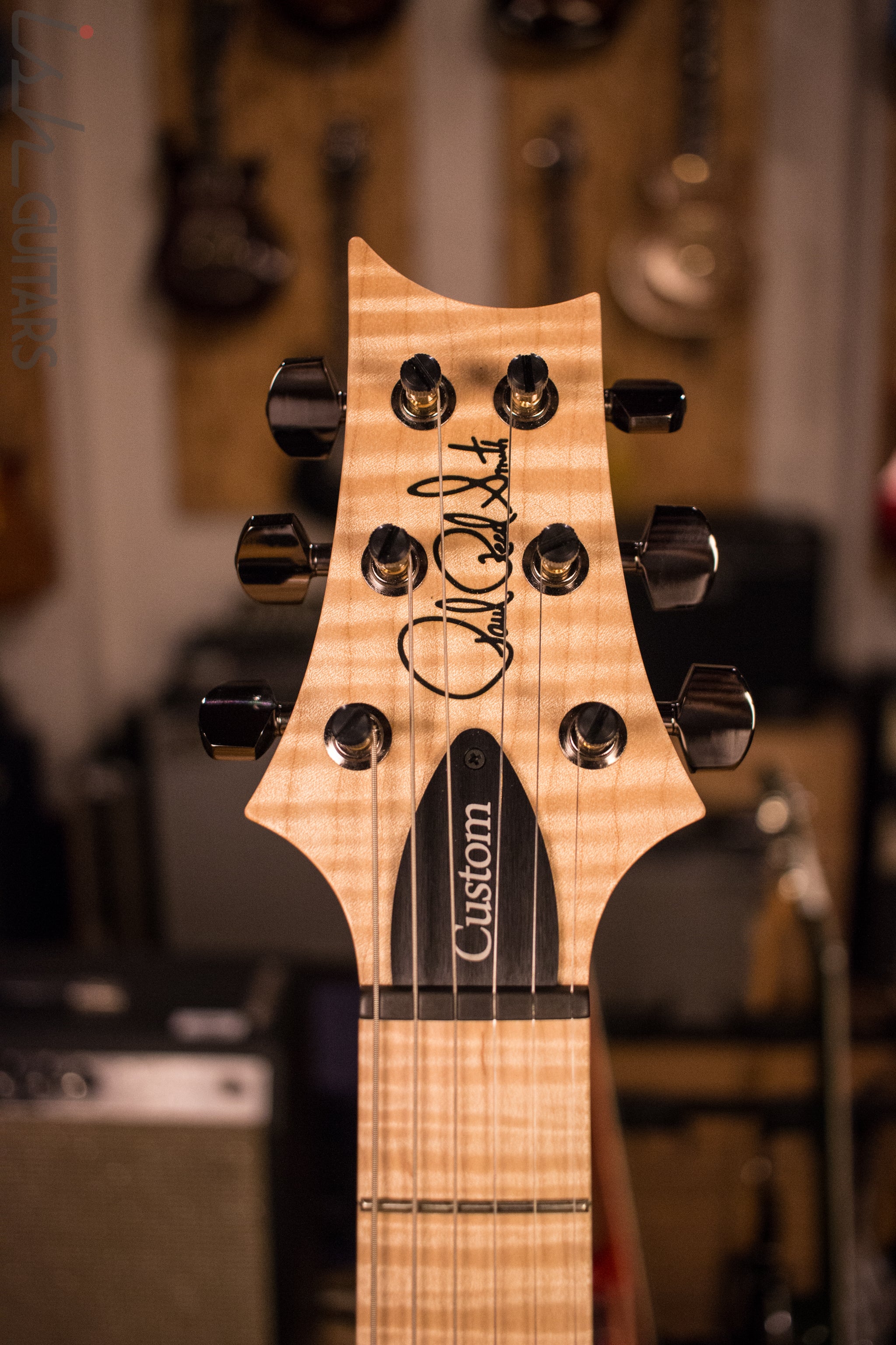 PRS Custom 24 Semi-Hollow Ish Guitars Exclusive Wood Library Quilt - Image 6