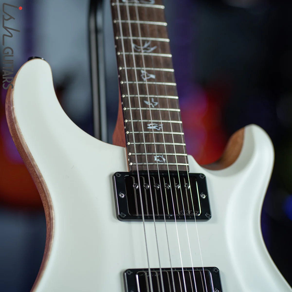 PRS Custom 24 Wood Library Antique White Opaque Satin - Image 5