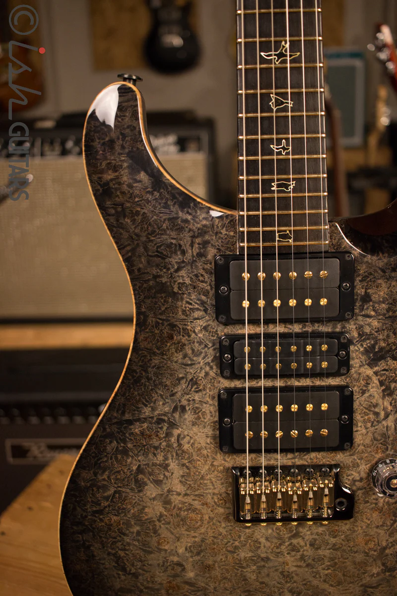 Paul Reed Smith PRS Private Stock Custom 24 Ish Guitars Exclusive - Image 3