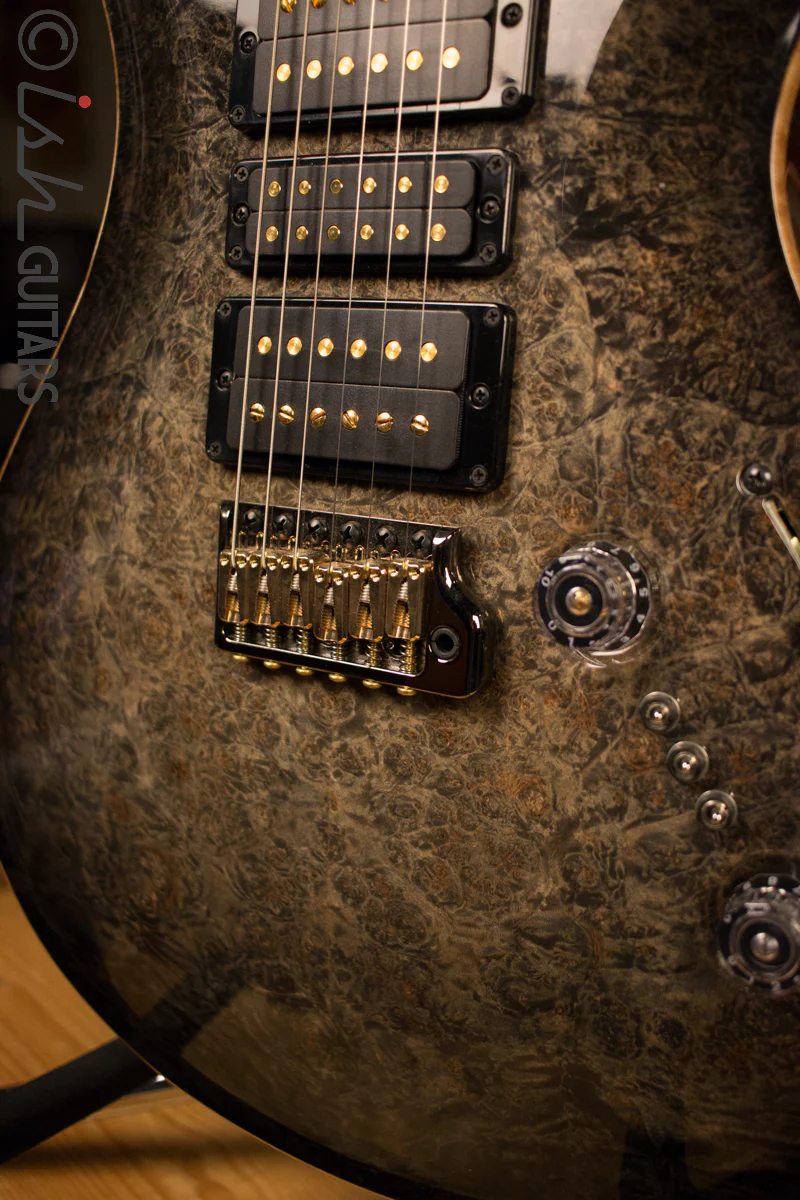 Paul Reed Smith PRS Private Stock Custom 24 Ish Guitars Exclusive - Image 8