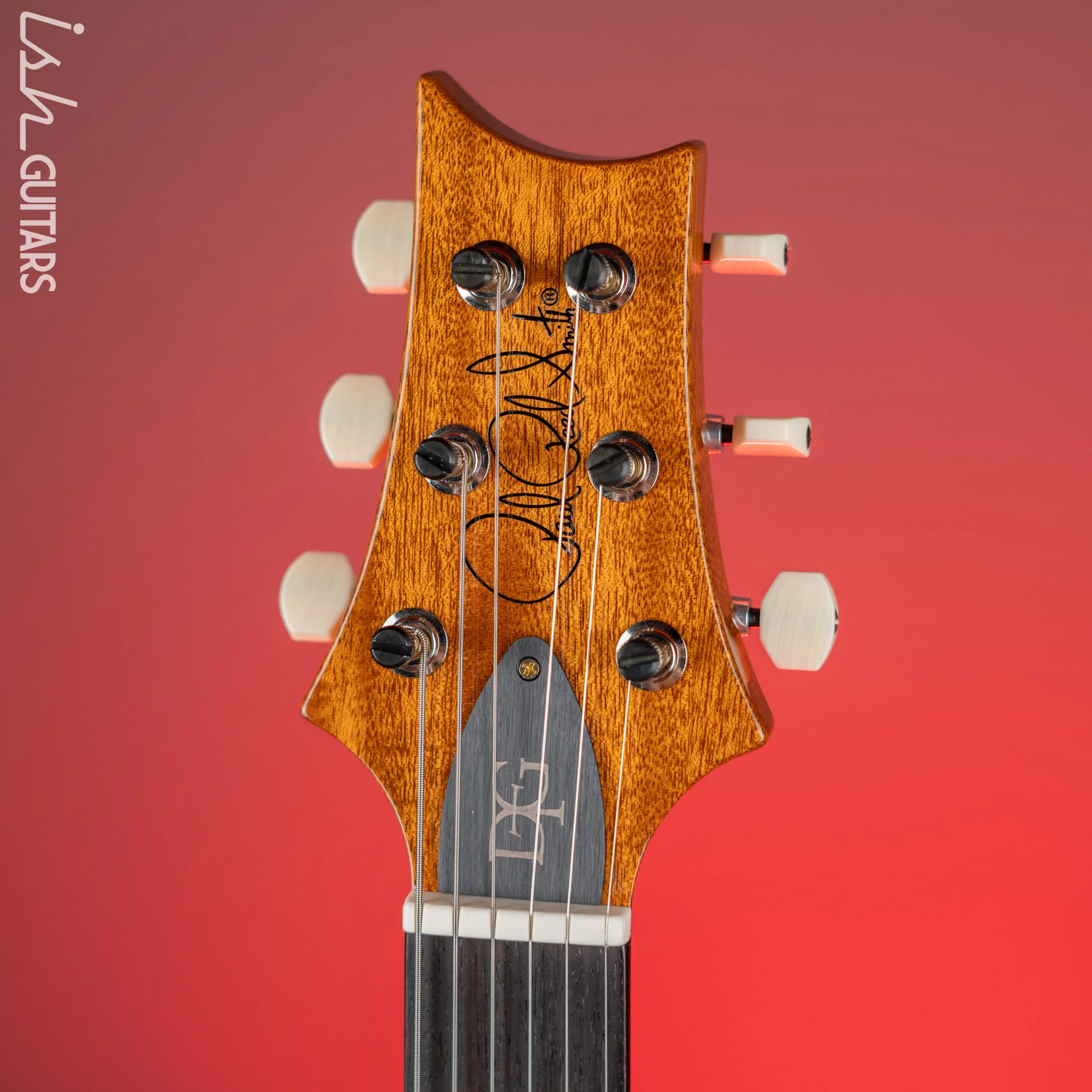 PRS DGT David Grissom 10-Top Aquamarine - Image 5