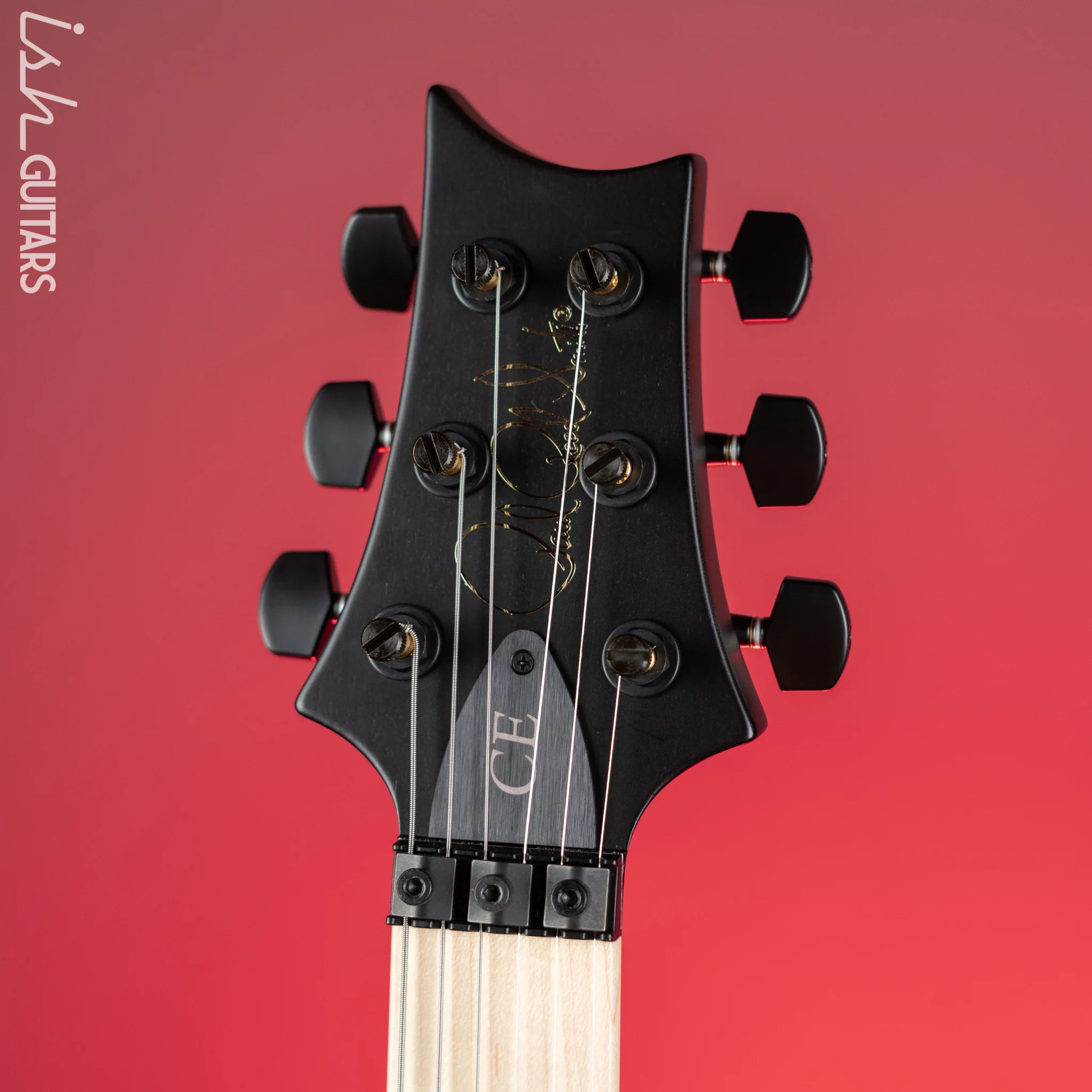 PRS Dustie Waring Signature CE 24 Floyd Gray Black Satin Nitro - Image 5