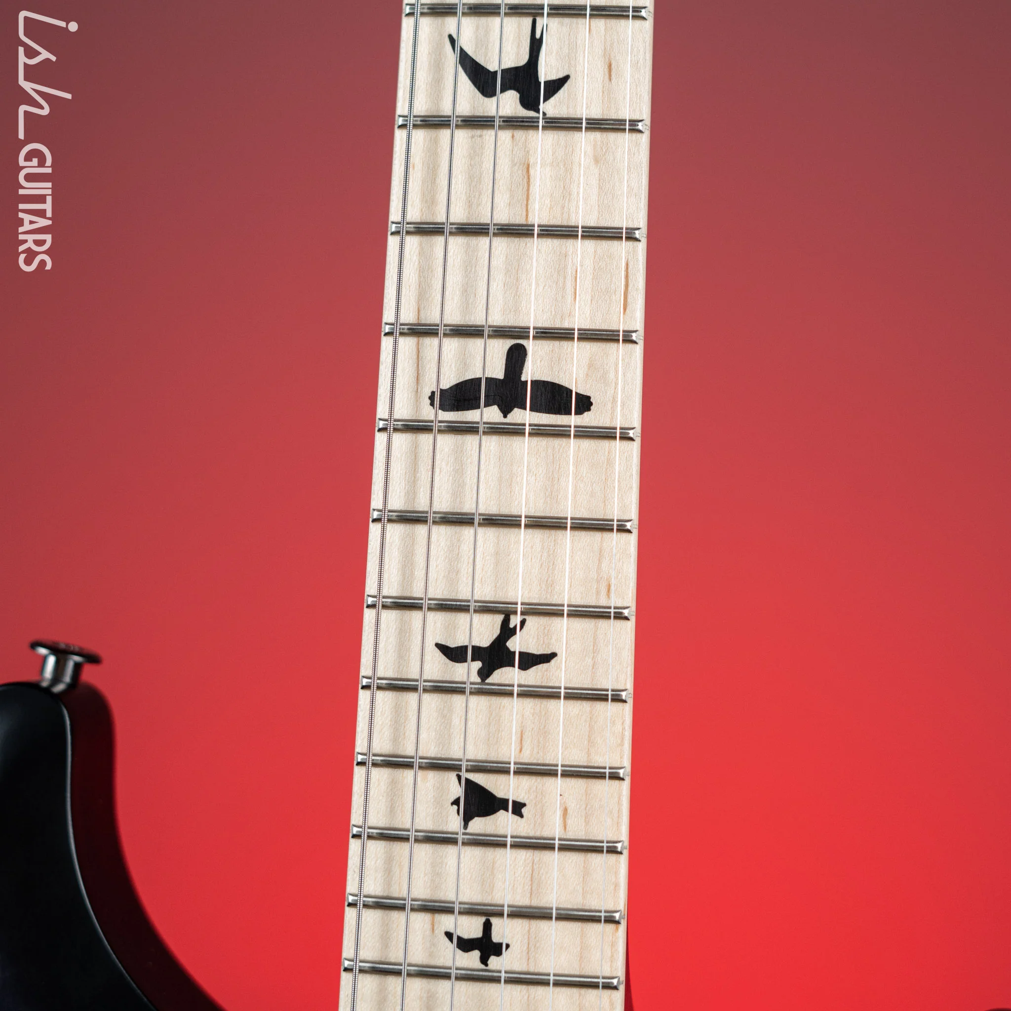 PRS Dustie Waring Signature CE 24 Floyd Satin Faded Blue Smokewrap - Image 5