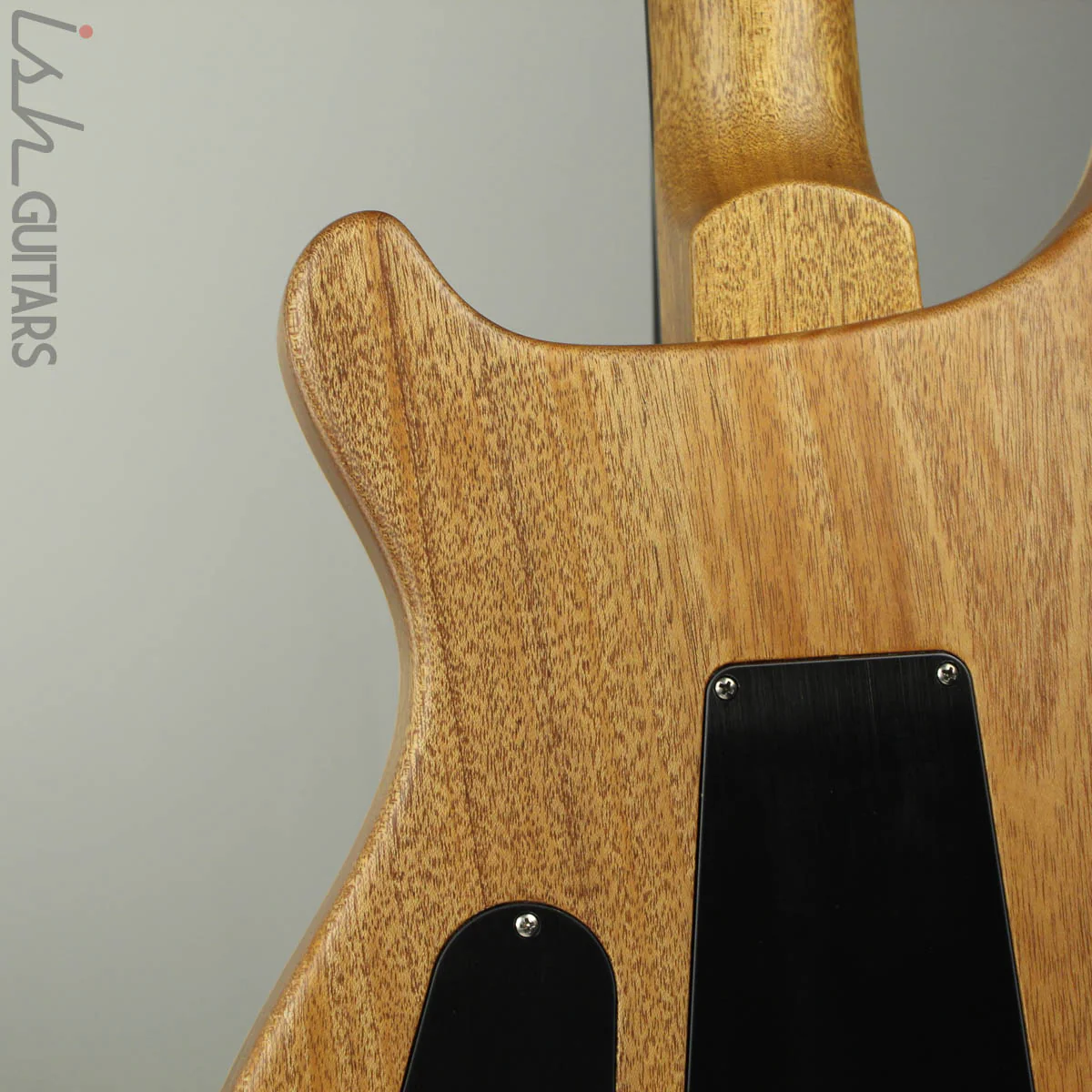 PRS Paul Reed Smith Wood Library Custom 24 Platinum Metallic Silver (DEMO VIDEO) - Image 9