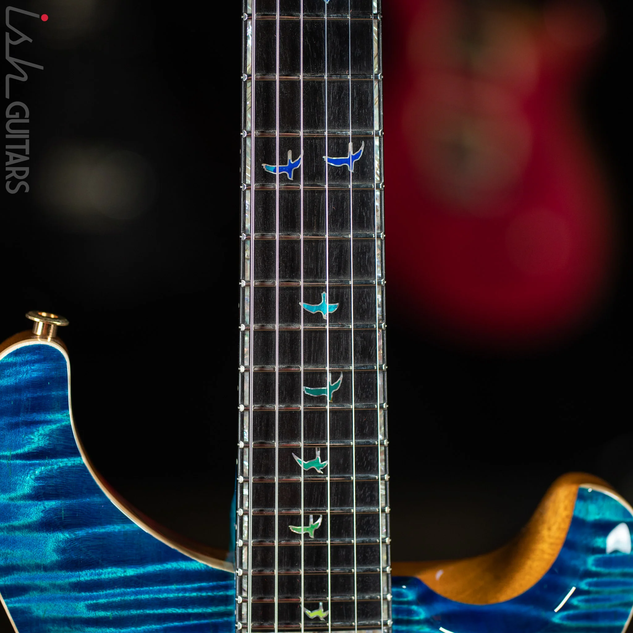 PRS Private Stock Custom 24-08 Laguna Dragons Breath - Image 5