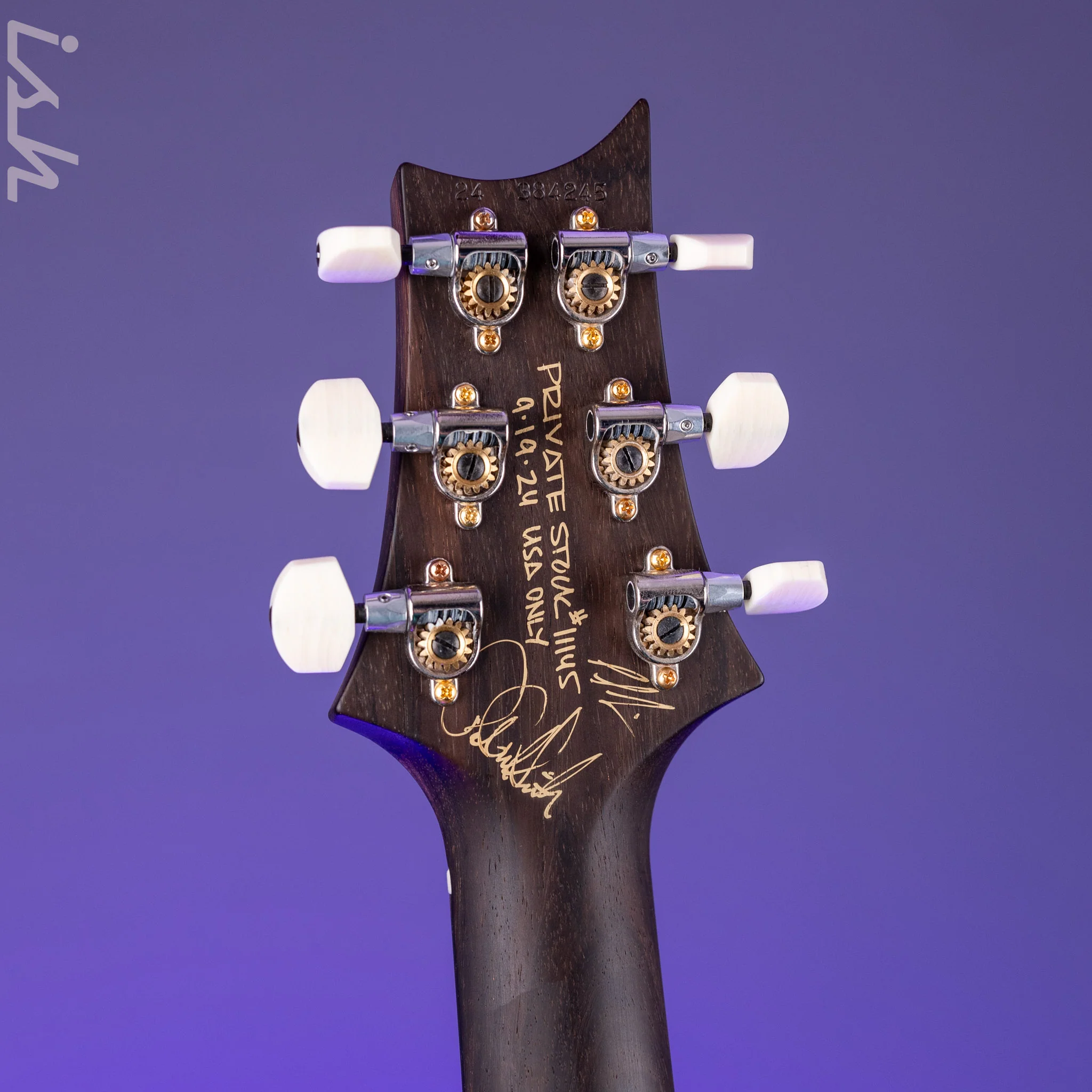 PRS Private Stock Custom 24 'Sculpture' Piezo Semi-Hollow Sculpture Guitar - Tree of Life - Image 12