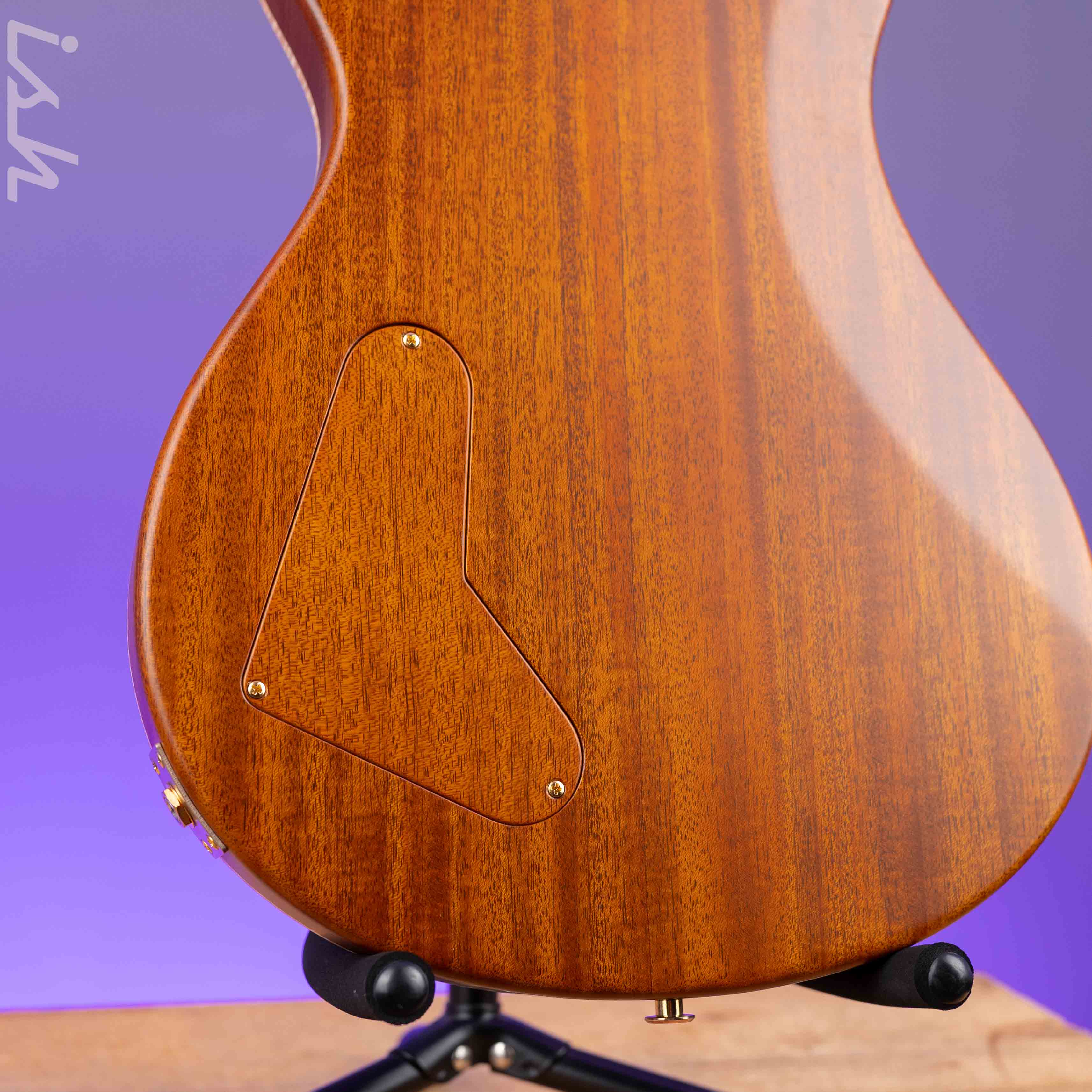 PRS Private Stock Paul's Guitar Semi-Hollow Cocobolo - Image 10