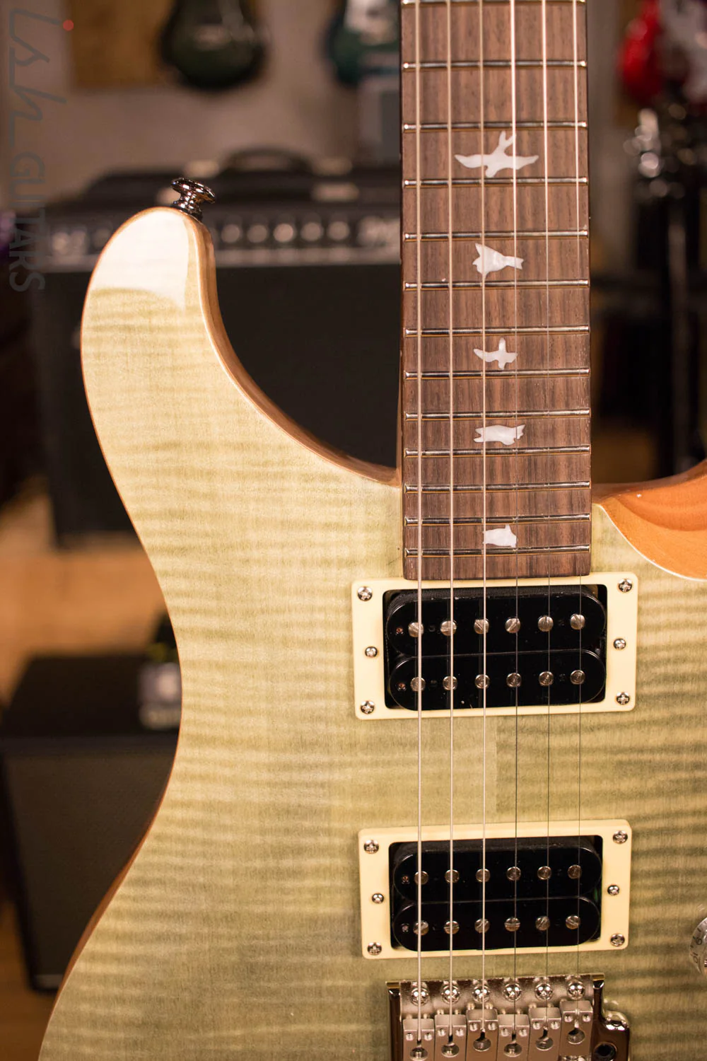 Paul Reed Smith PRS SE Custom 24 Trampas Green - Image 3