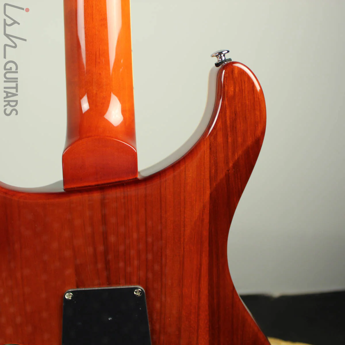2019 PRS SE Custom 24 Burl - Image 9