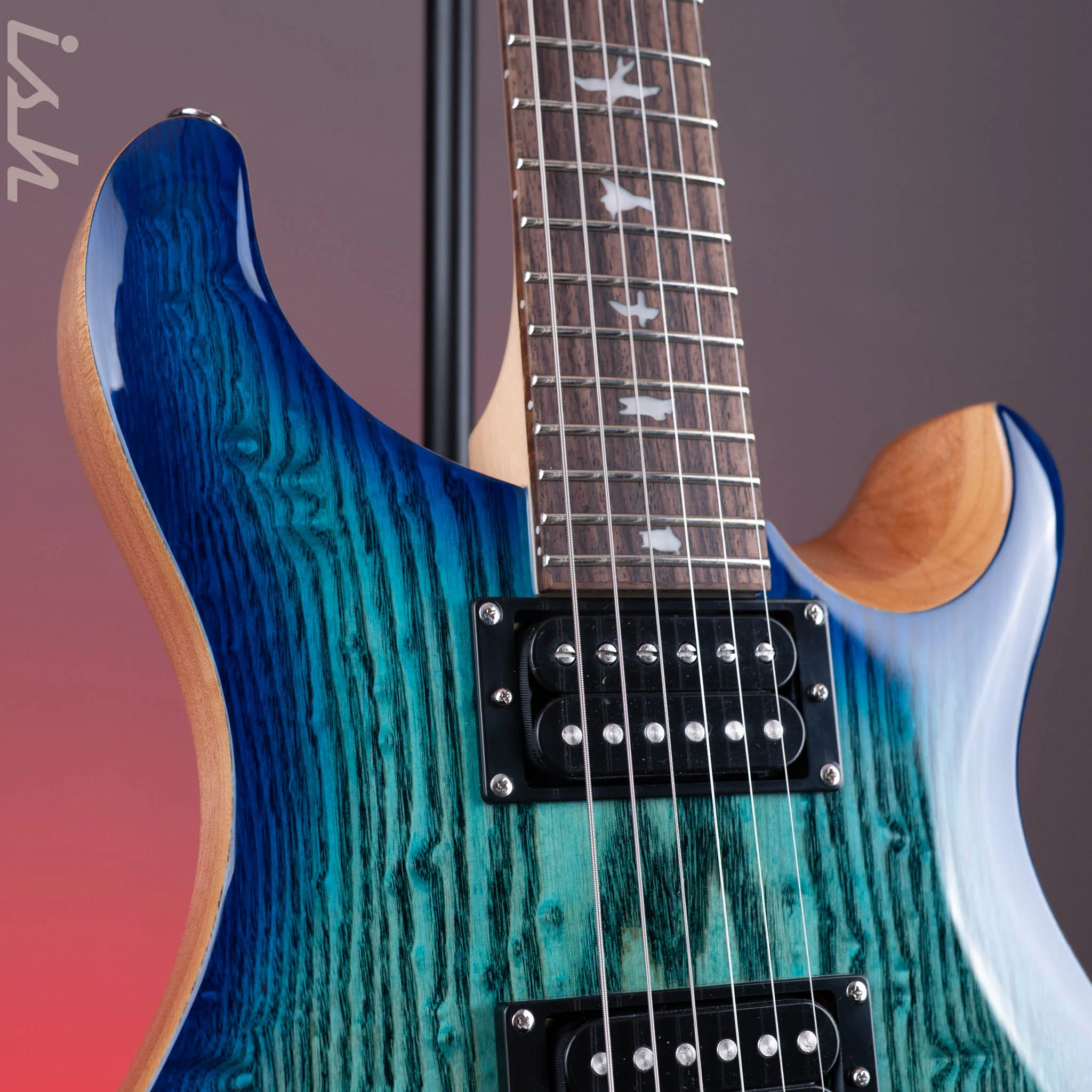 PRS SE Custom 24 Burled Ash Limited Edition Lake Blue - Image 4