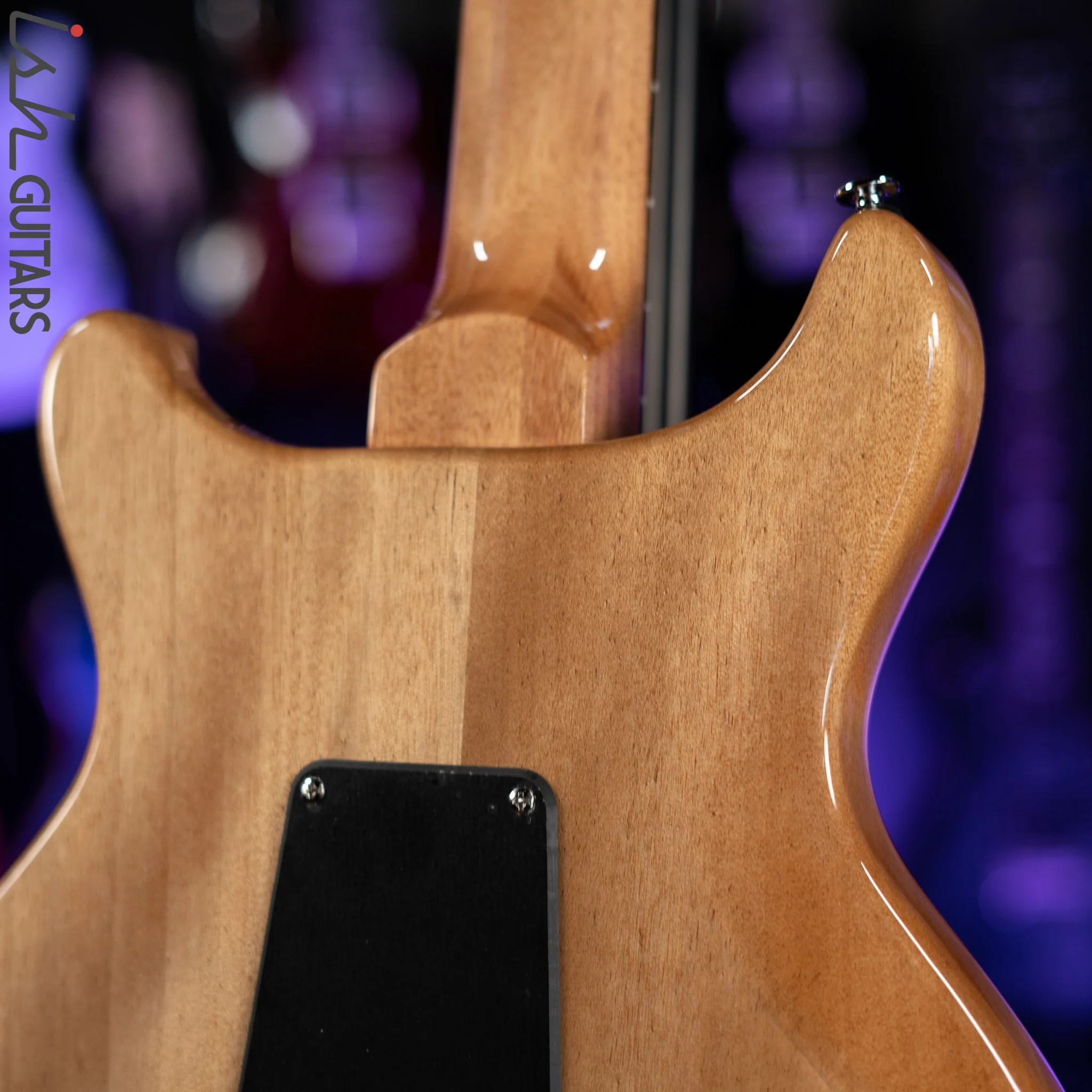 PRS SE Santana Abraxas Limited Edition 50th Anniversary - Image 9