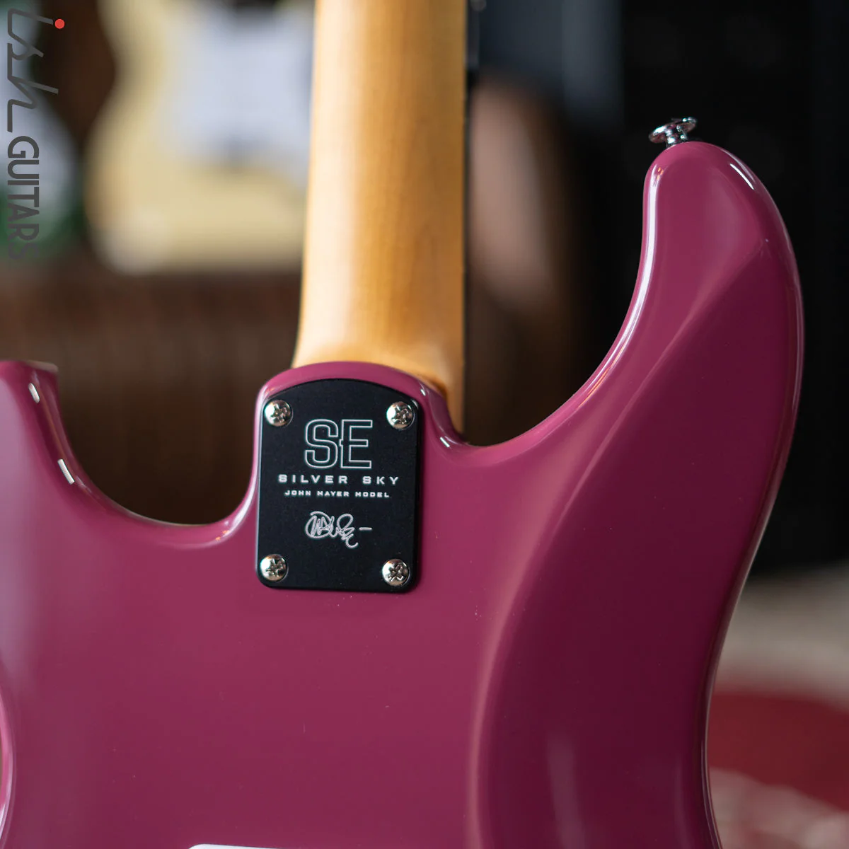 PRS SE Silver Sky Dragon Fruit Demo - Image 10