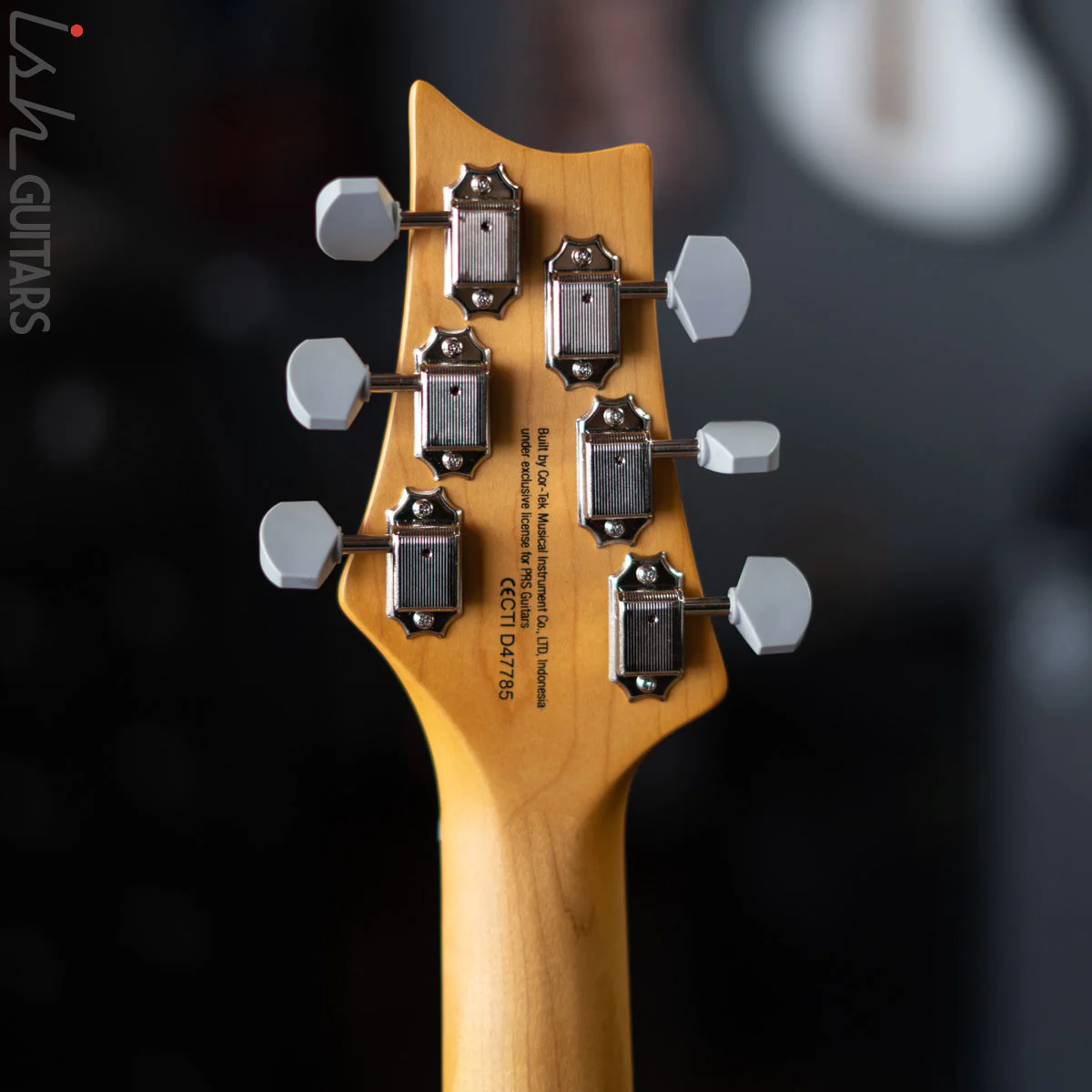 PRS SE Silver Sky Ever Green Demo - Image 9