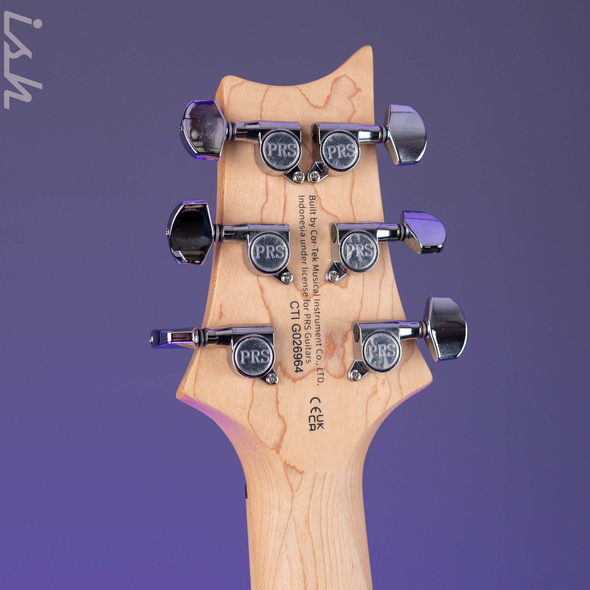 PRS SE Swamp Ash Special Electric Guitar Vintage Sunburst Demo - Image 10