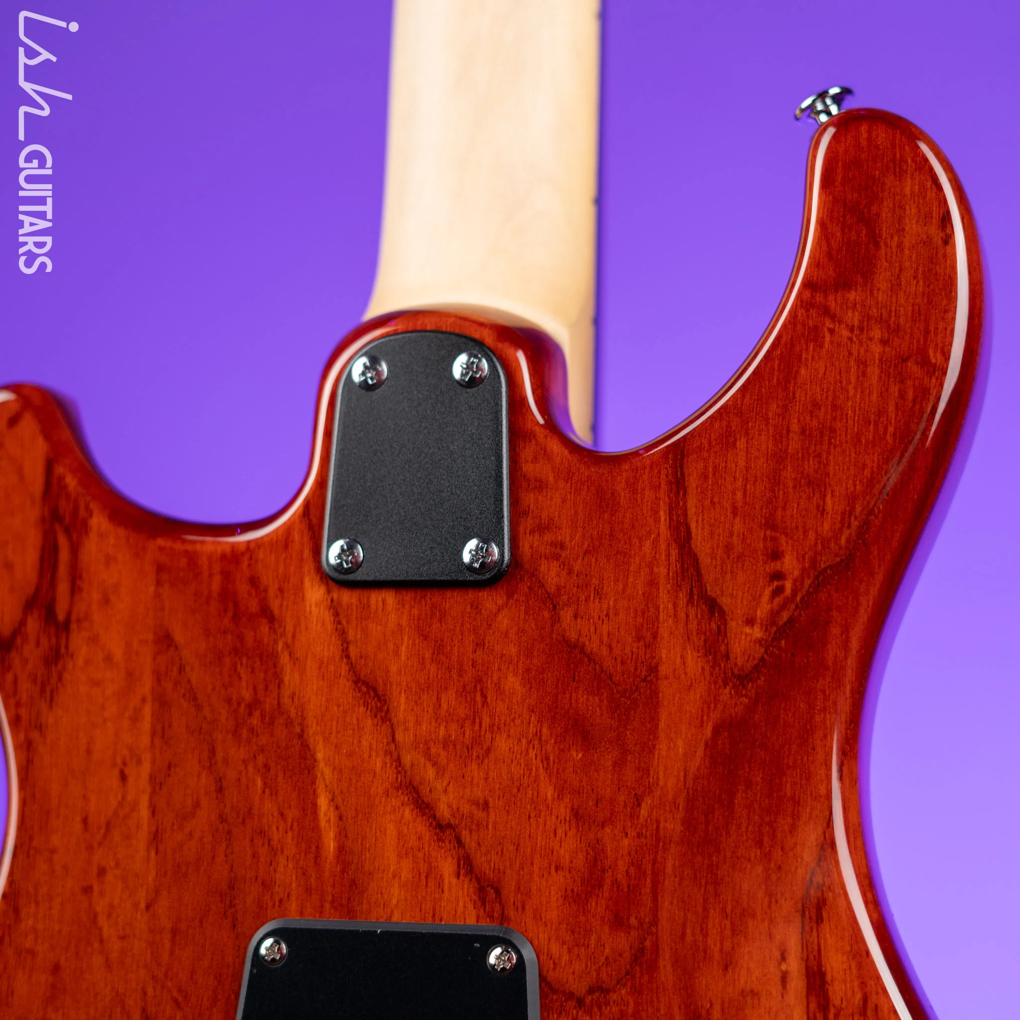 PRS SE Swamp Ash Special Vintage Sunburst Electric Guitar - Image 8