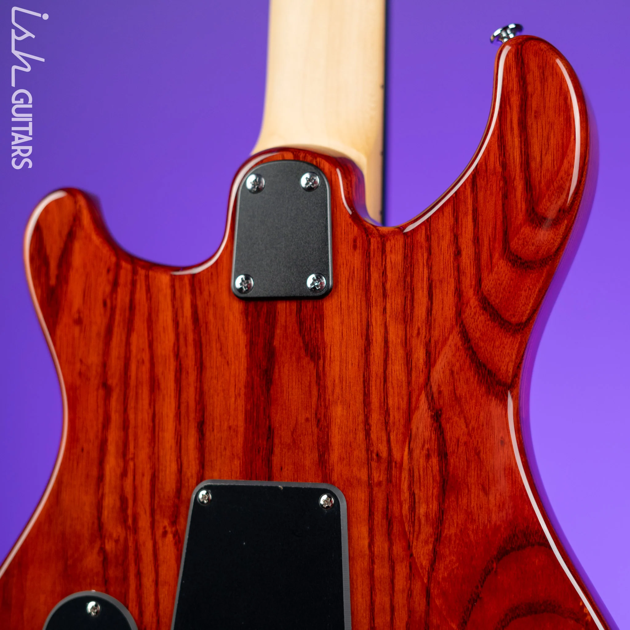 PRS SE Swamp Ash Special Vintage Sunburst Electric Guitar - Image 8