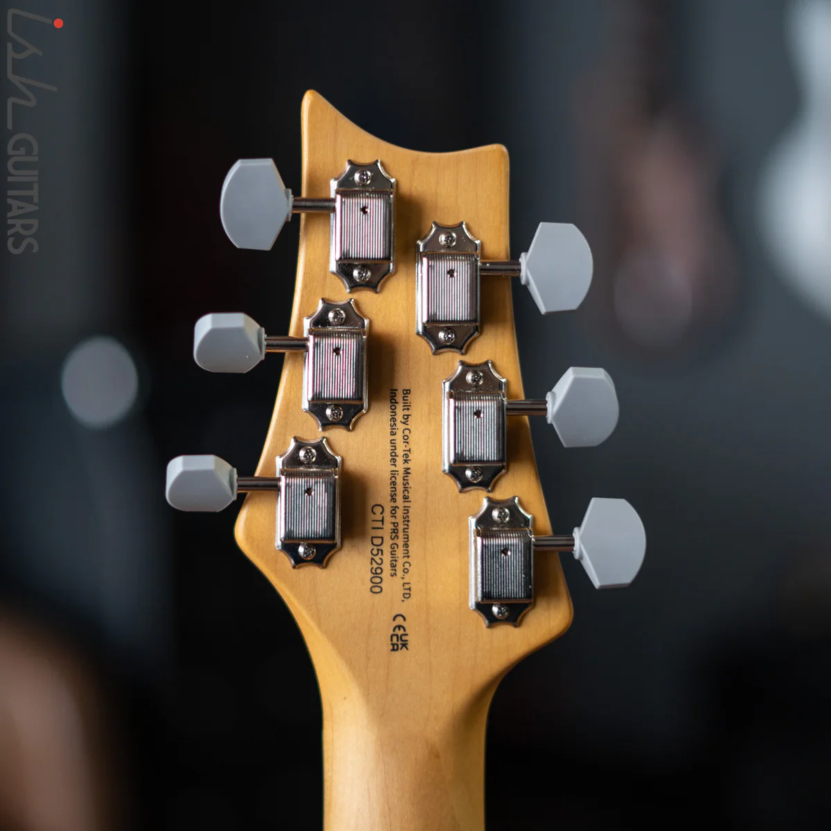 PRS SE Silver Sky Dragon Fruit - Image 12