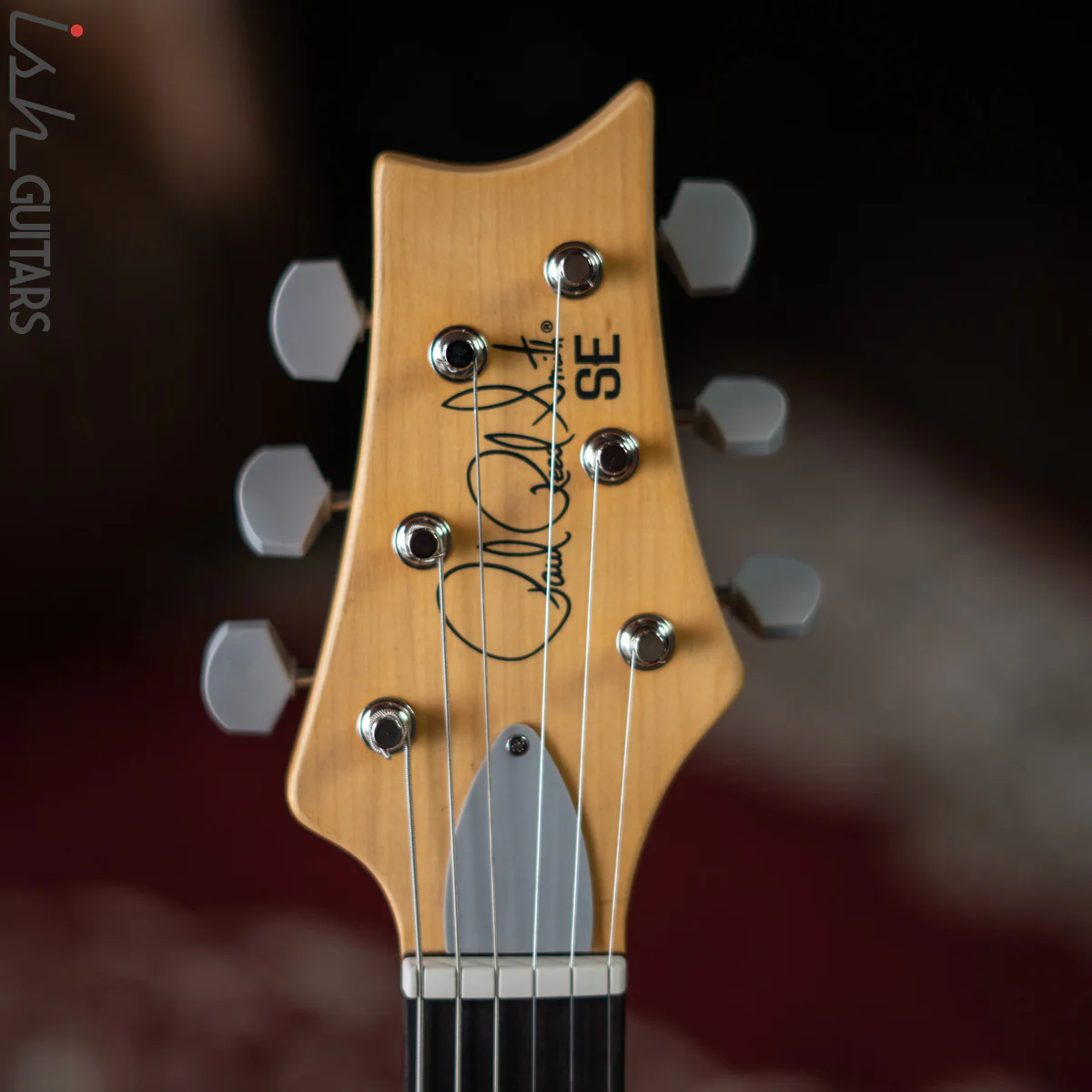 PRS SE Silver Sky Dragon Fruit - Image 7