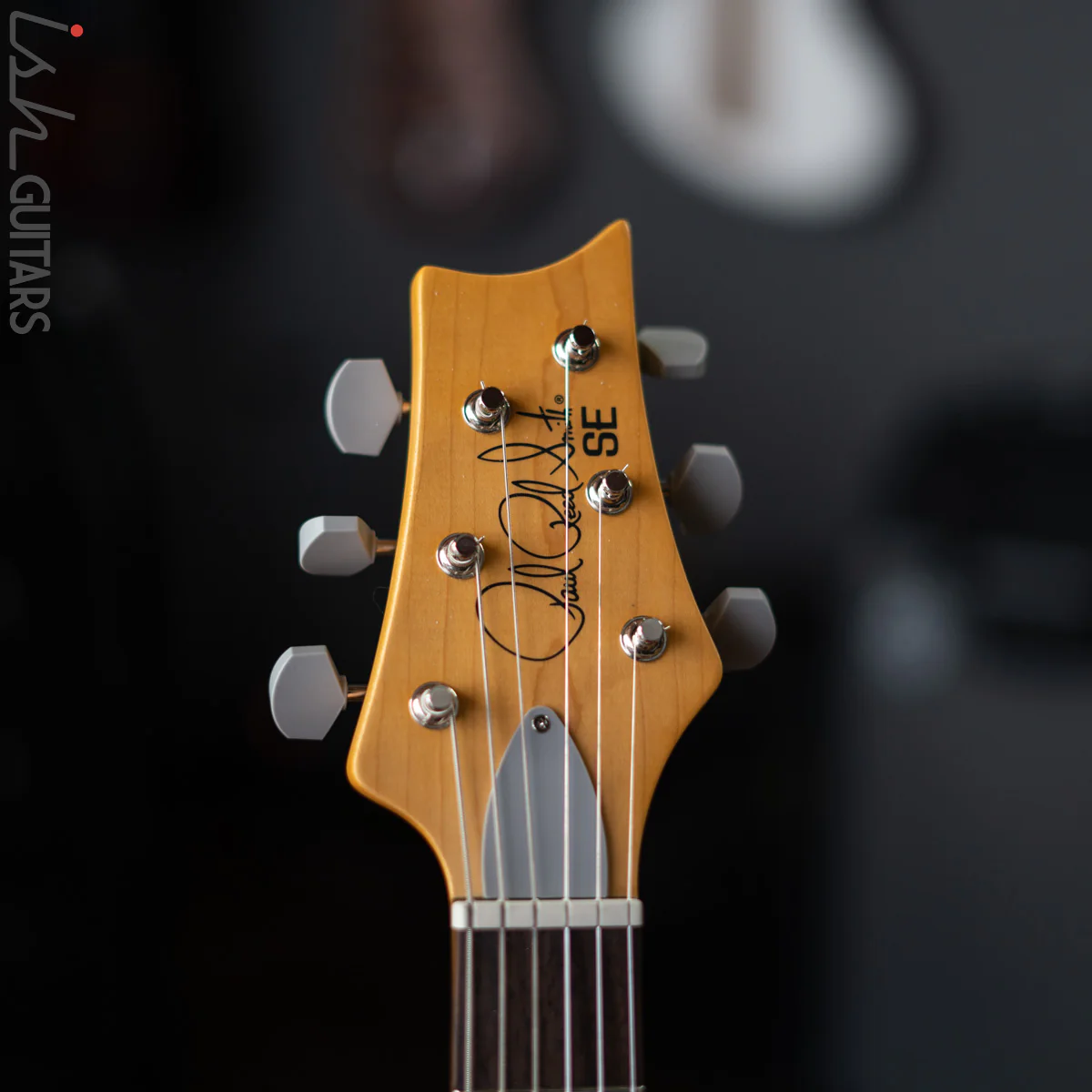 PRS SE Silver Sky Ever Green - Image 6