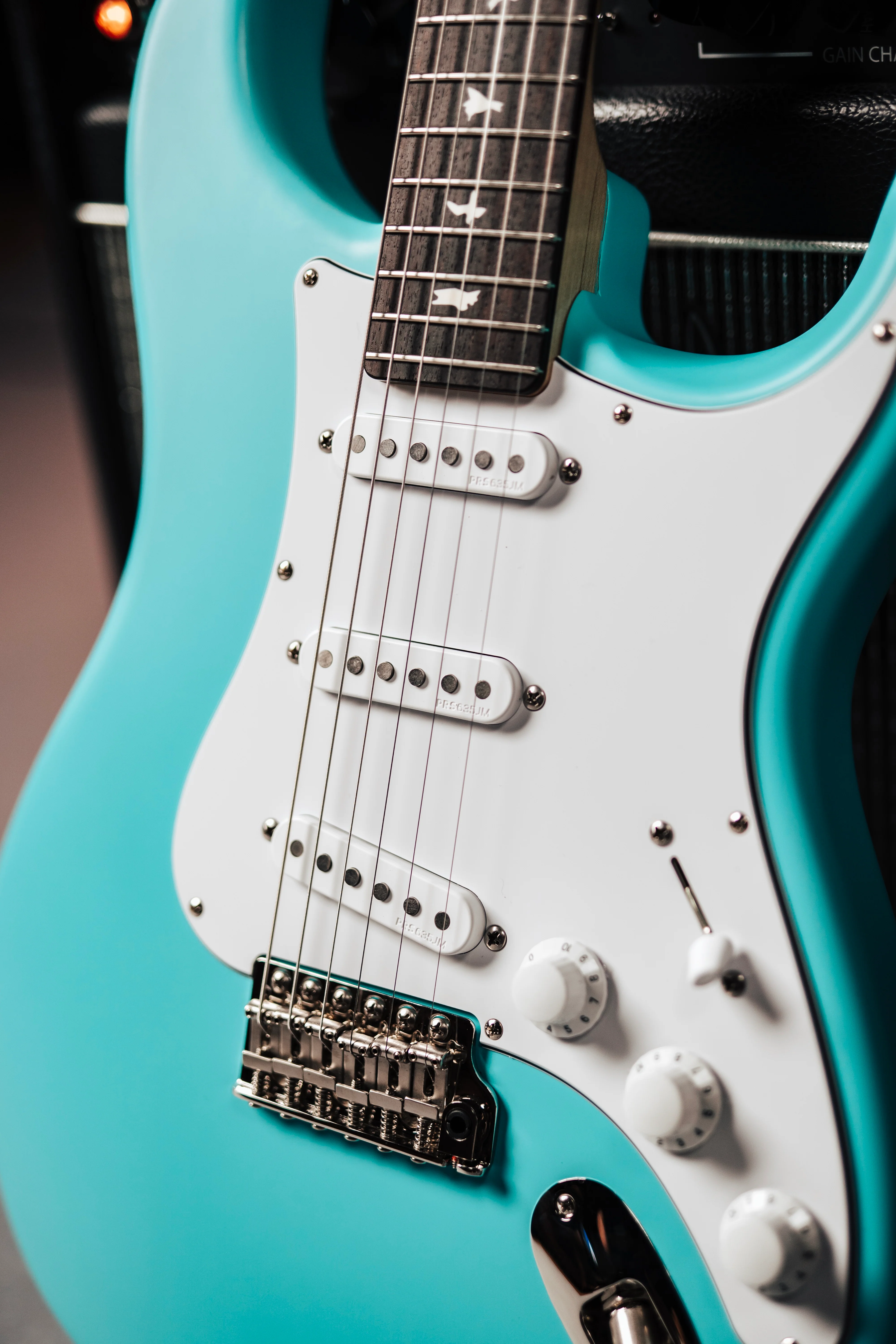 PRS Silver Sky Wild Blue Limited Edition - Coming Soon! - Image 3