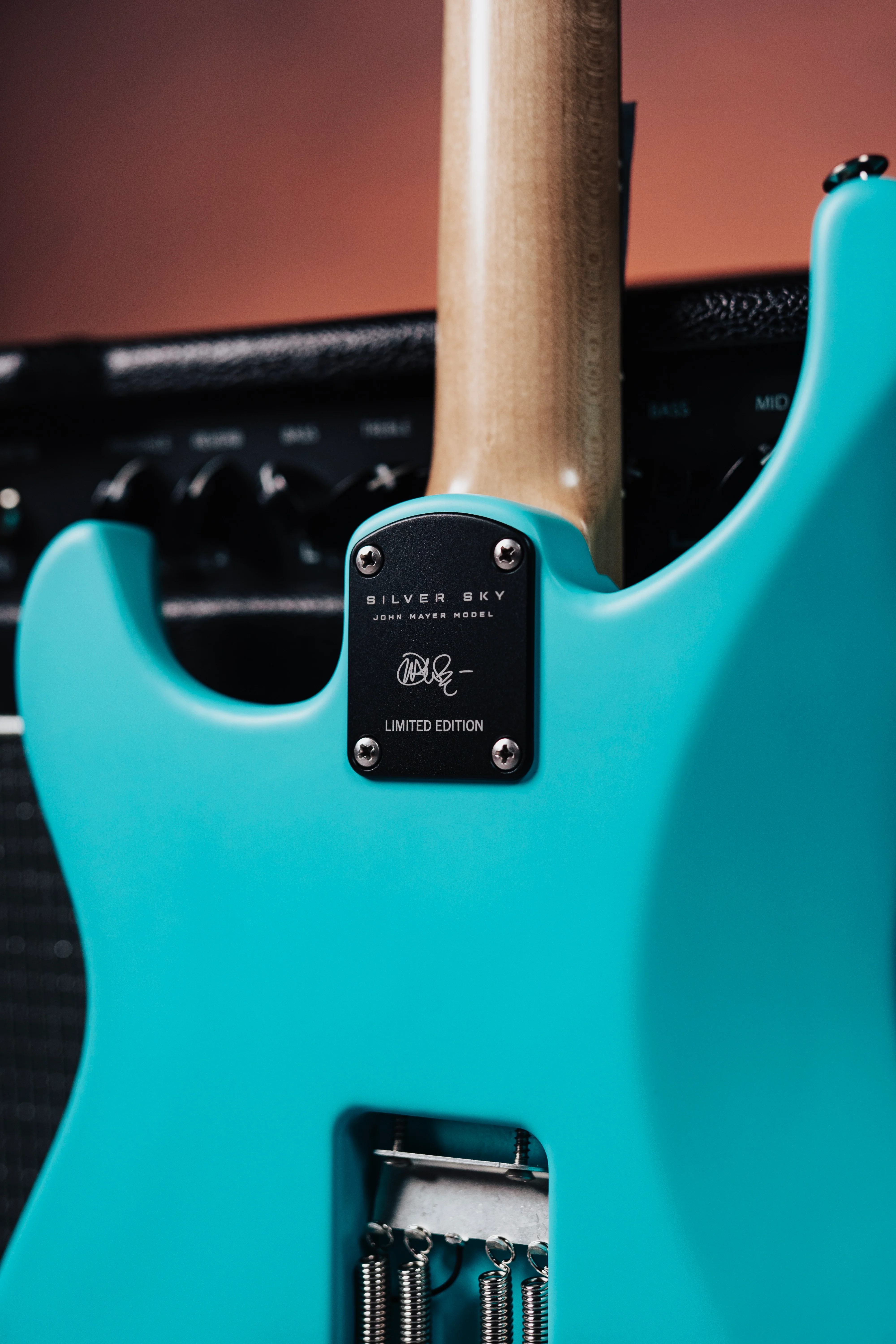 PRS Silver Sky Wild Blue Limited Edition - Coming Soon! - Image 4