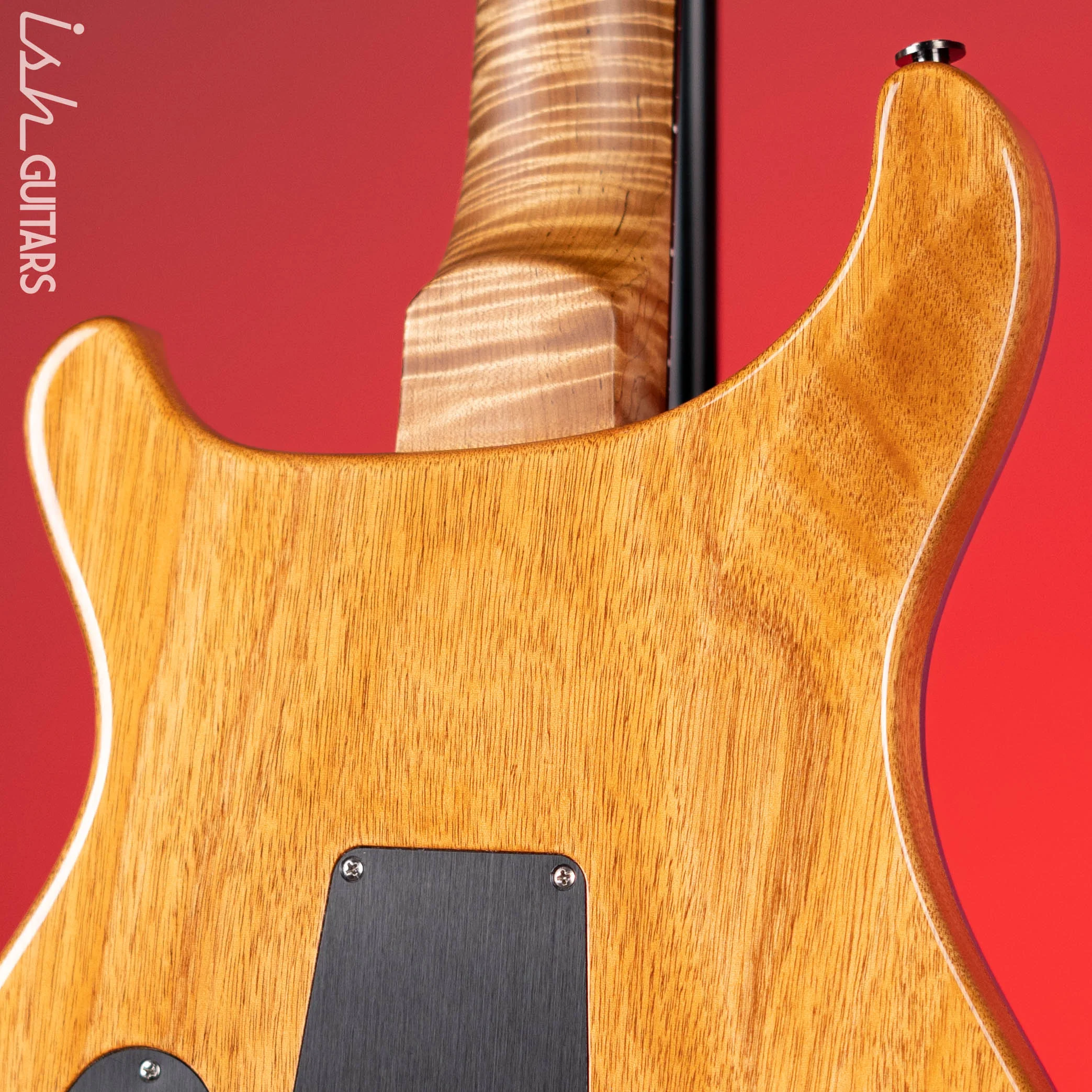 2022 PRS Wood Library DGT Frost Blue Metallic - Image 9
