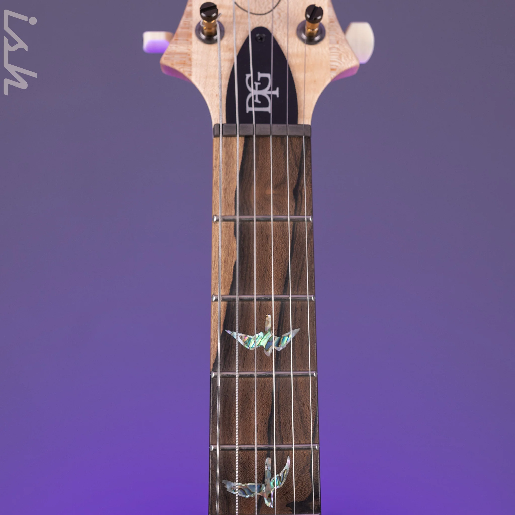 PRS Wood Library DGT Gold Top Ziricote Fretboard - Image 7