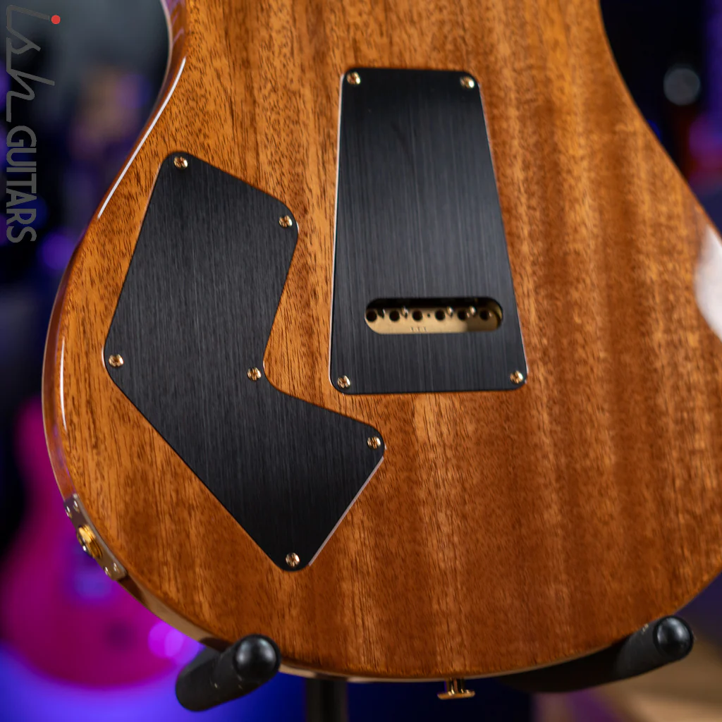 PRS Wood Library Modern Eagle V 10 Top Charcoal - Image 8