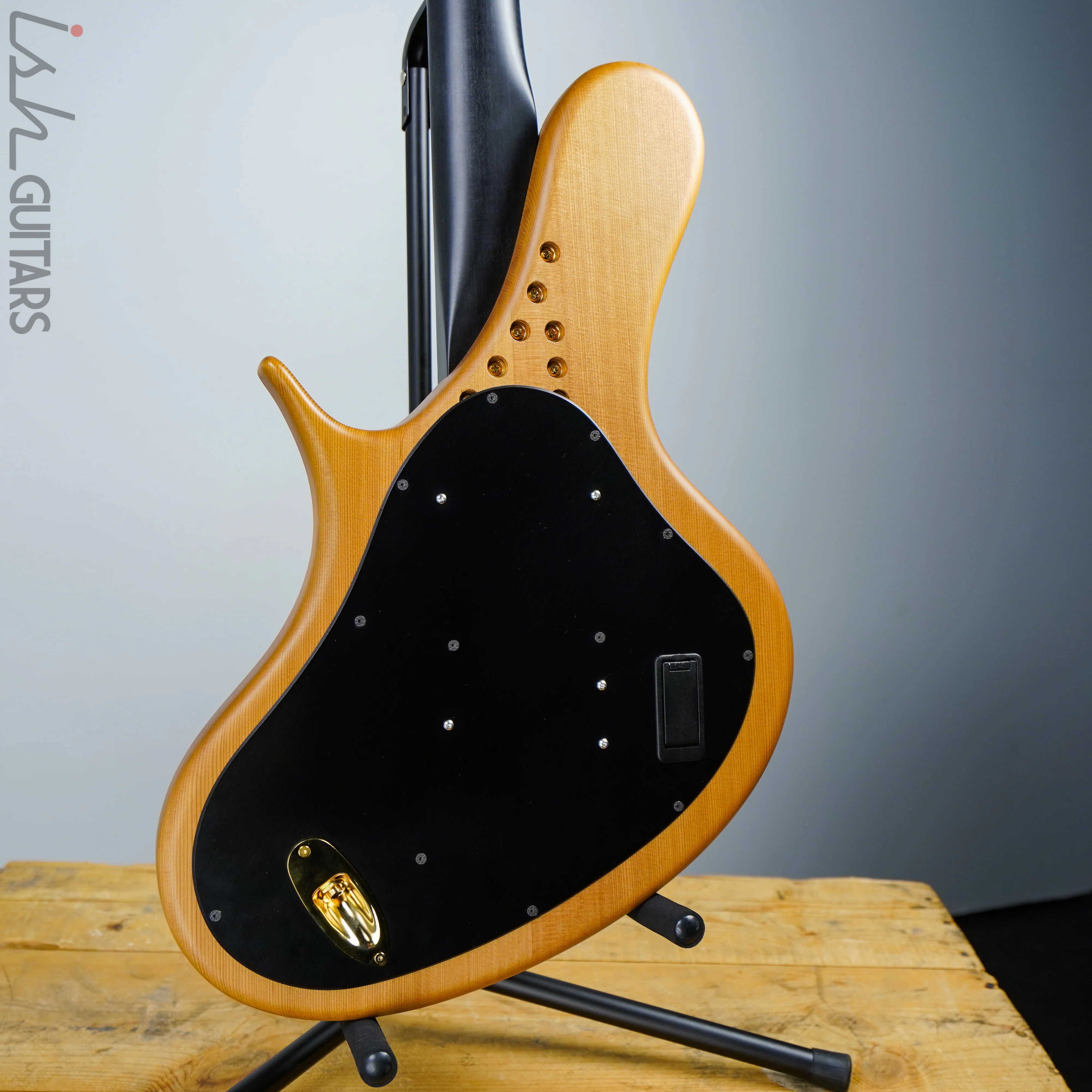 Ritter R8 Singlecut Acoustic Hollowbody Bass Piezo - First Ever! Redwood Body - Image 8