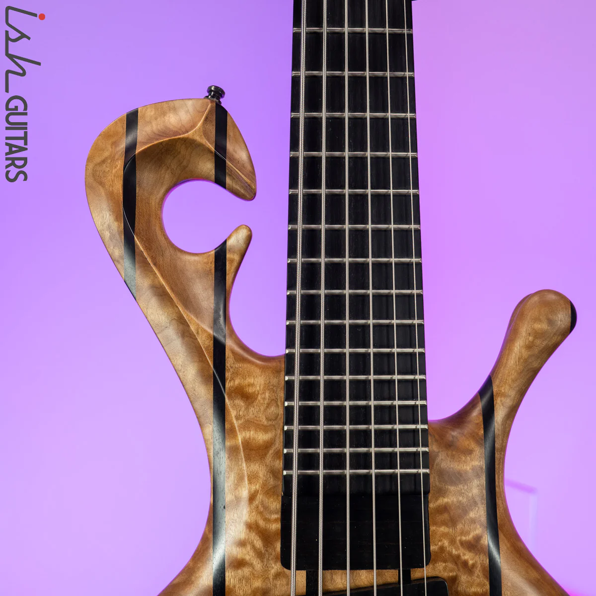 Ritter Okon 6 String Tremolo "Rainbow" Bass Guitar - Image 3
