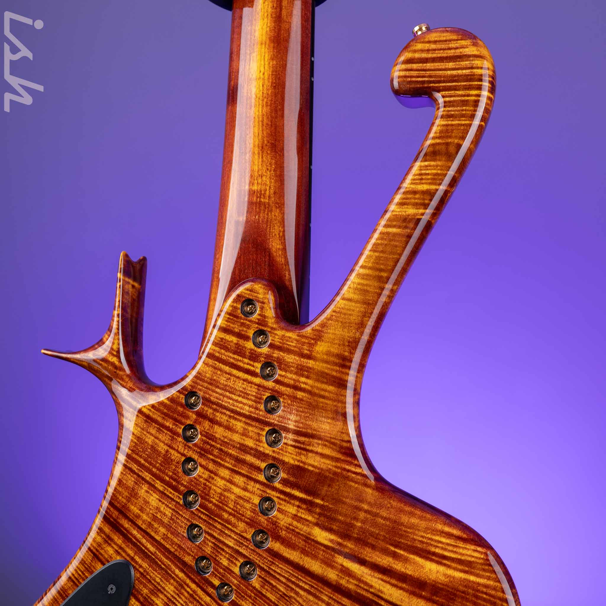 Ritter “The Late Lounge Raptor” 5 String Bass - Image 8