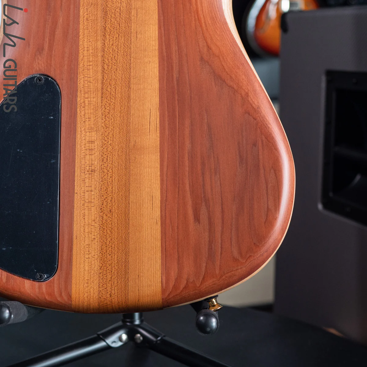 Spector Custom NS-5 Ziricote - Image 13