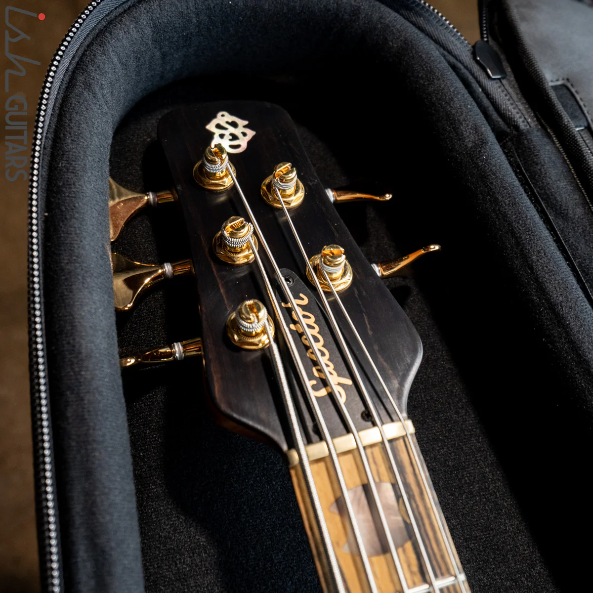 Spector Custom NS-5X Ziricote - Image 15