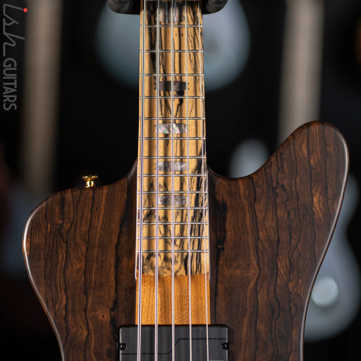Spector Custom NS-5X Ziricote - Image 4