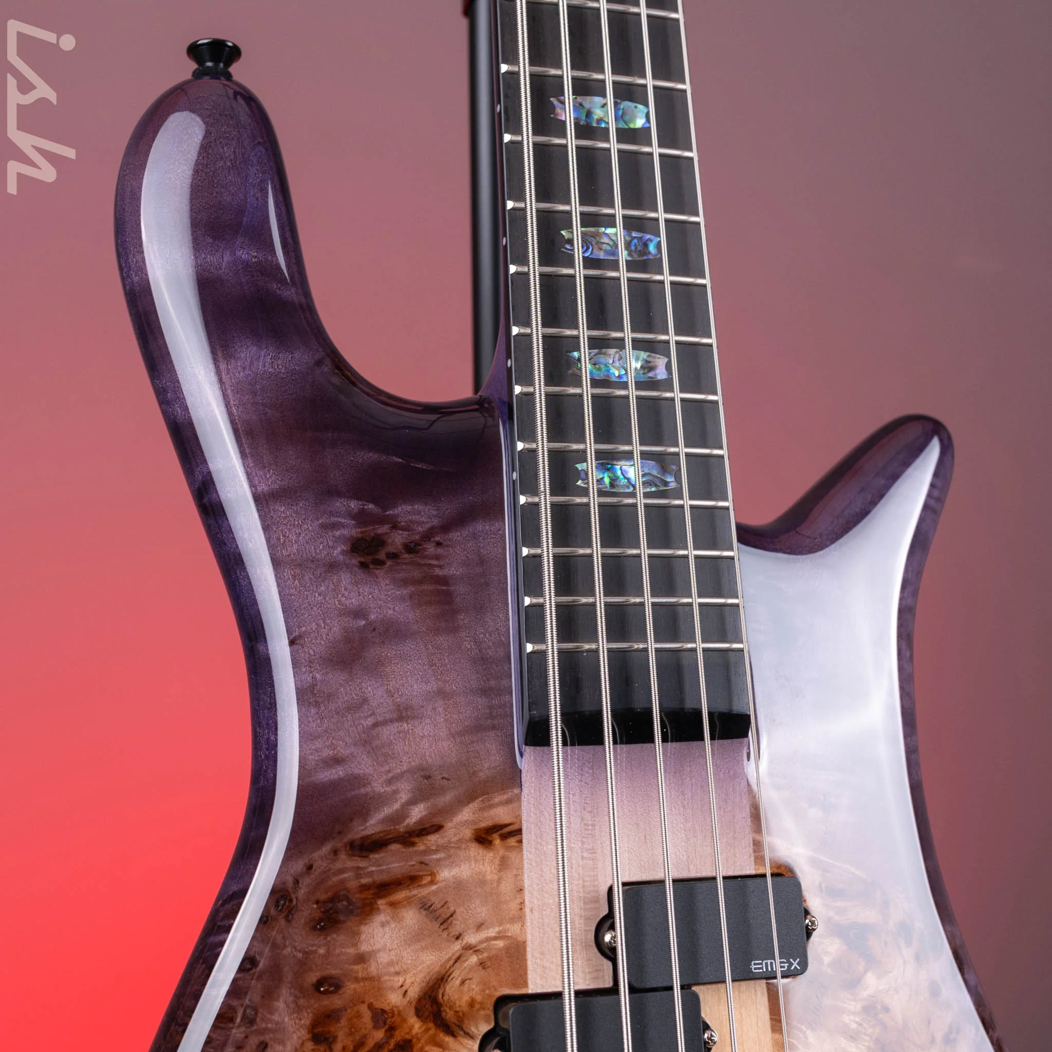 Spector Euro 5 Custom Natural Violet Burst Gloss - Image 4