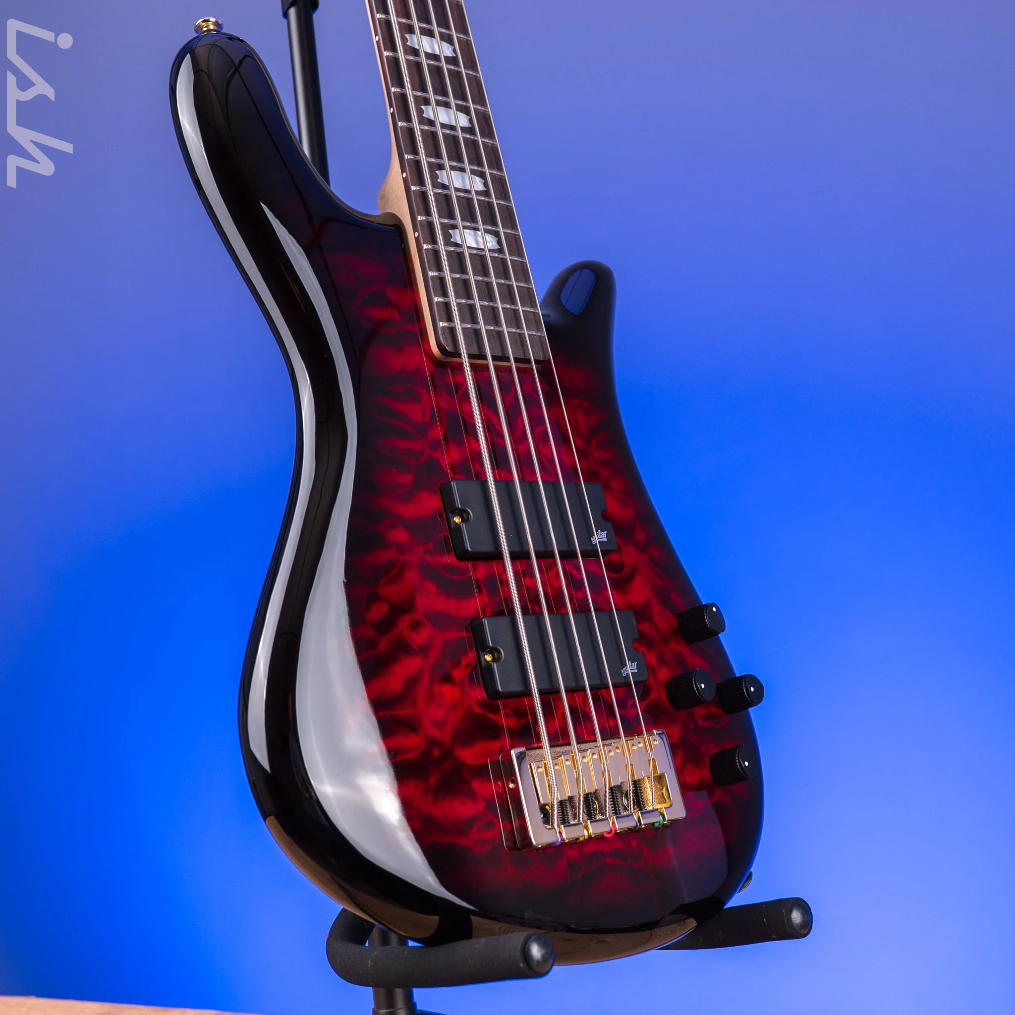 Spector ICON NS-5 Bolt-On Black Cherry Gloss - Image 3