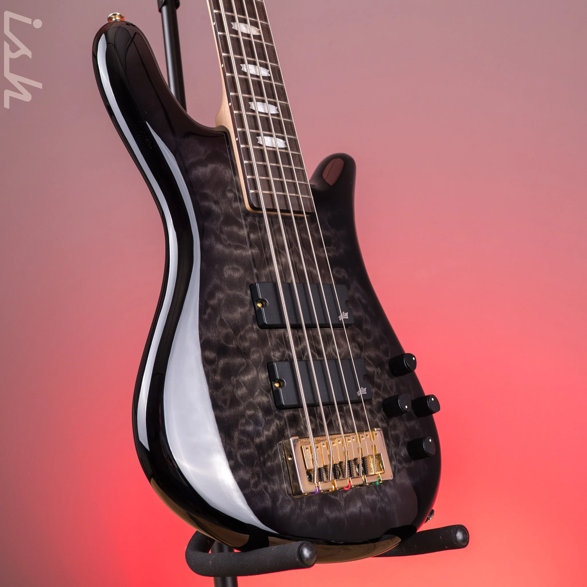 Spector ICON NS-5 Bolt-On Black Stain Gloss - Image 3