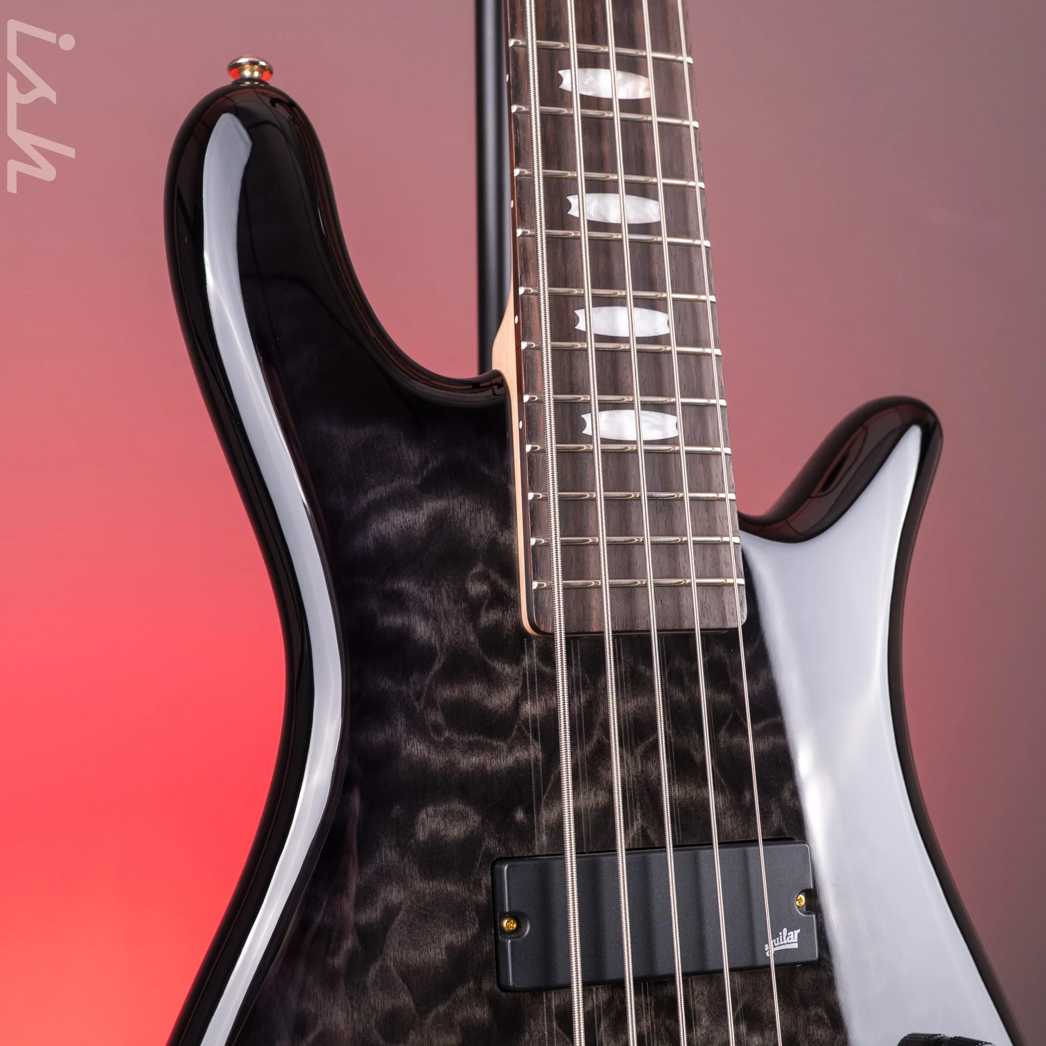 Spector ICON NS-5 Bolt-On Black Stain Gloss - Image 4