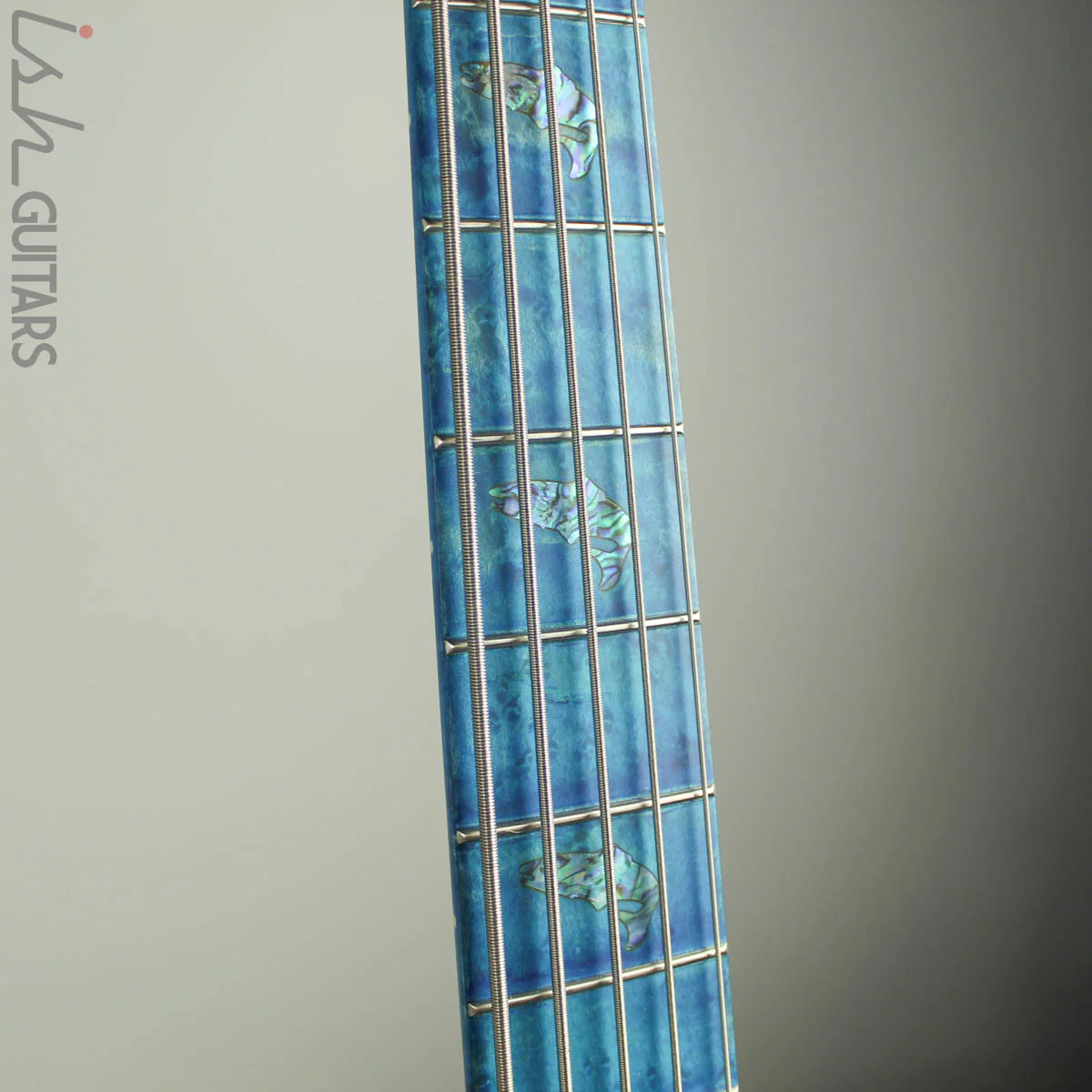 Spector Coda 5 Deluxe Ish Limited Coral Blue - Image 6