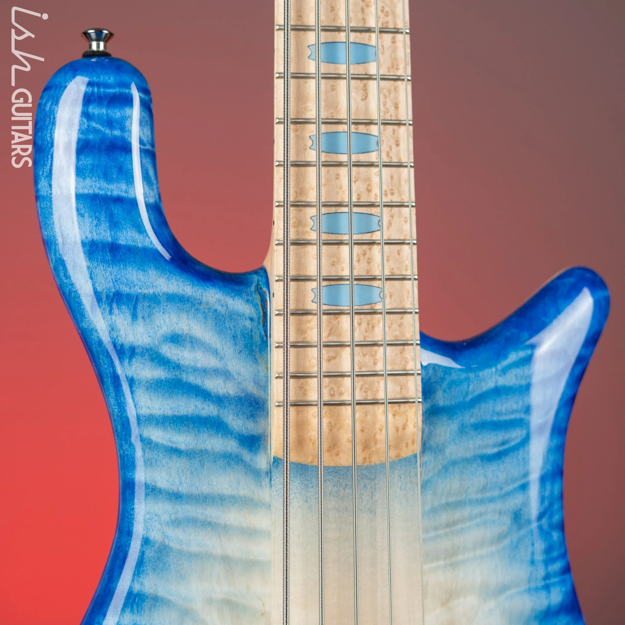 Spector NS-5 Ultra Blue Glow w/ Grain Fill Back Birdseye Maple Demo - Image 3