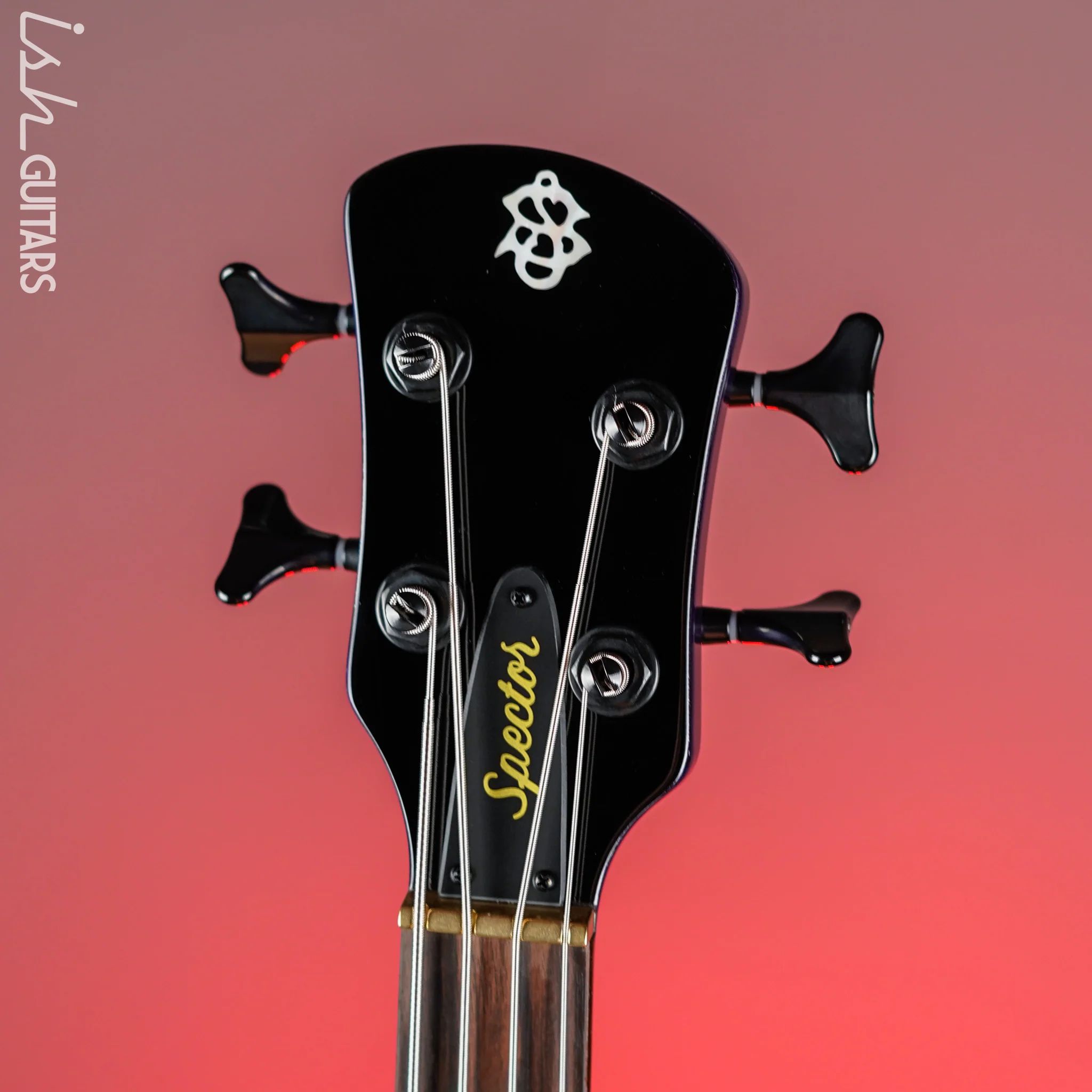 Spector NS Ethos 4 HP Bass Plum Crazy Demo - Image 5
