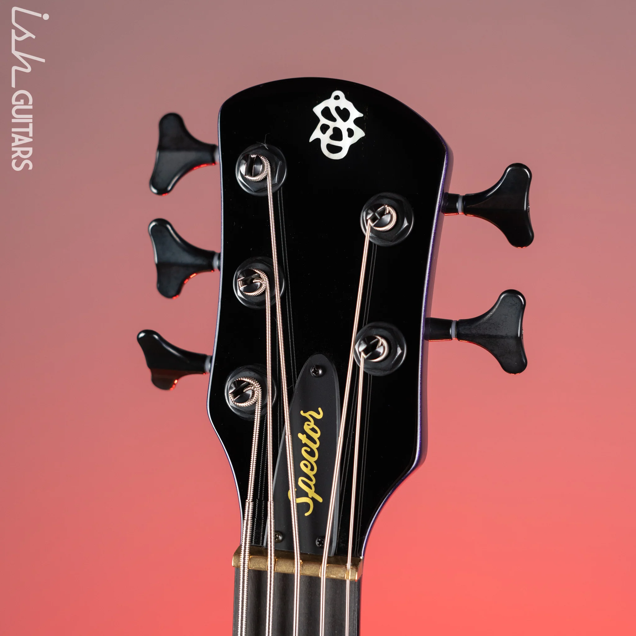 Spector NS Ethos 5 HP Bass Plum Crazy Demo - Image 5