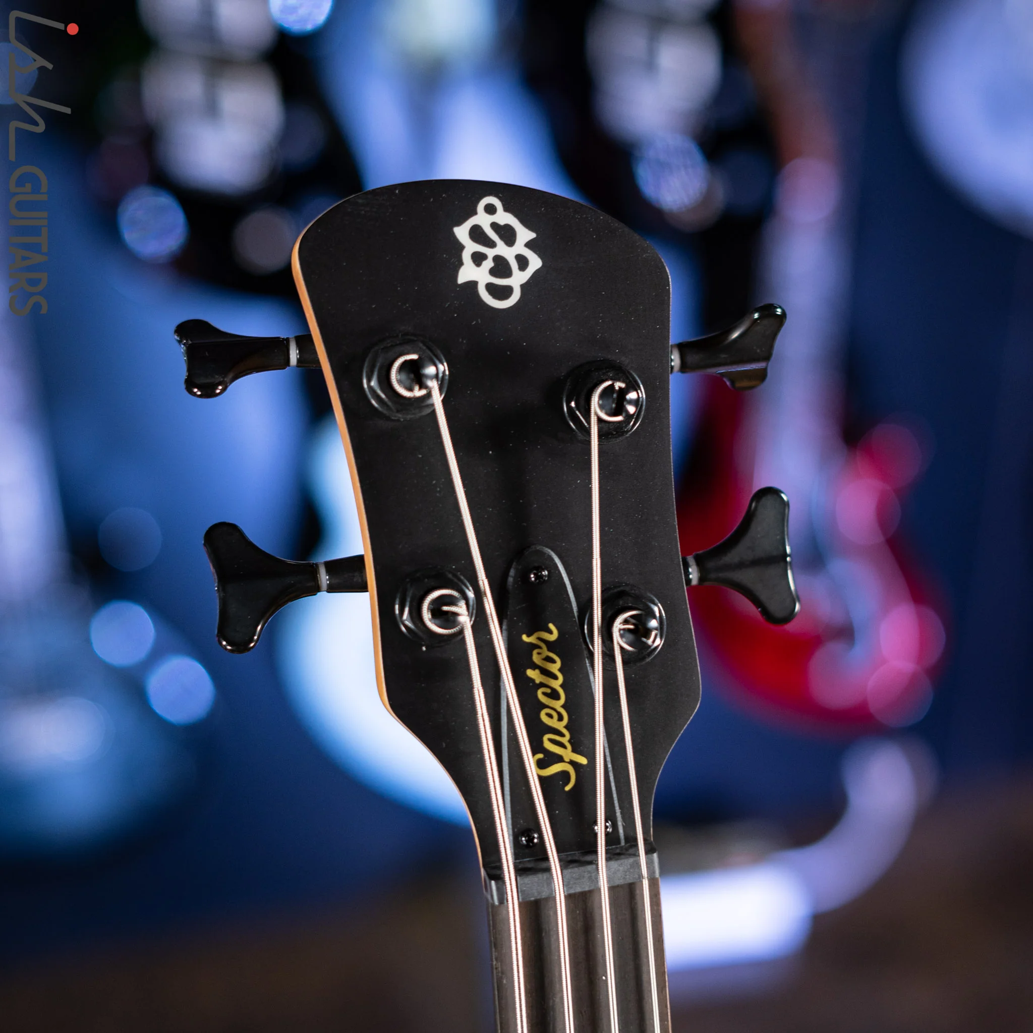 Spector NS Pulse II 4-String Bass Black Cherry Matte Demo - Image 6