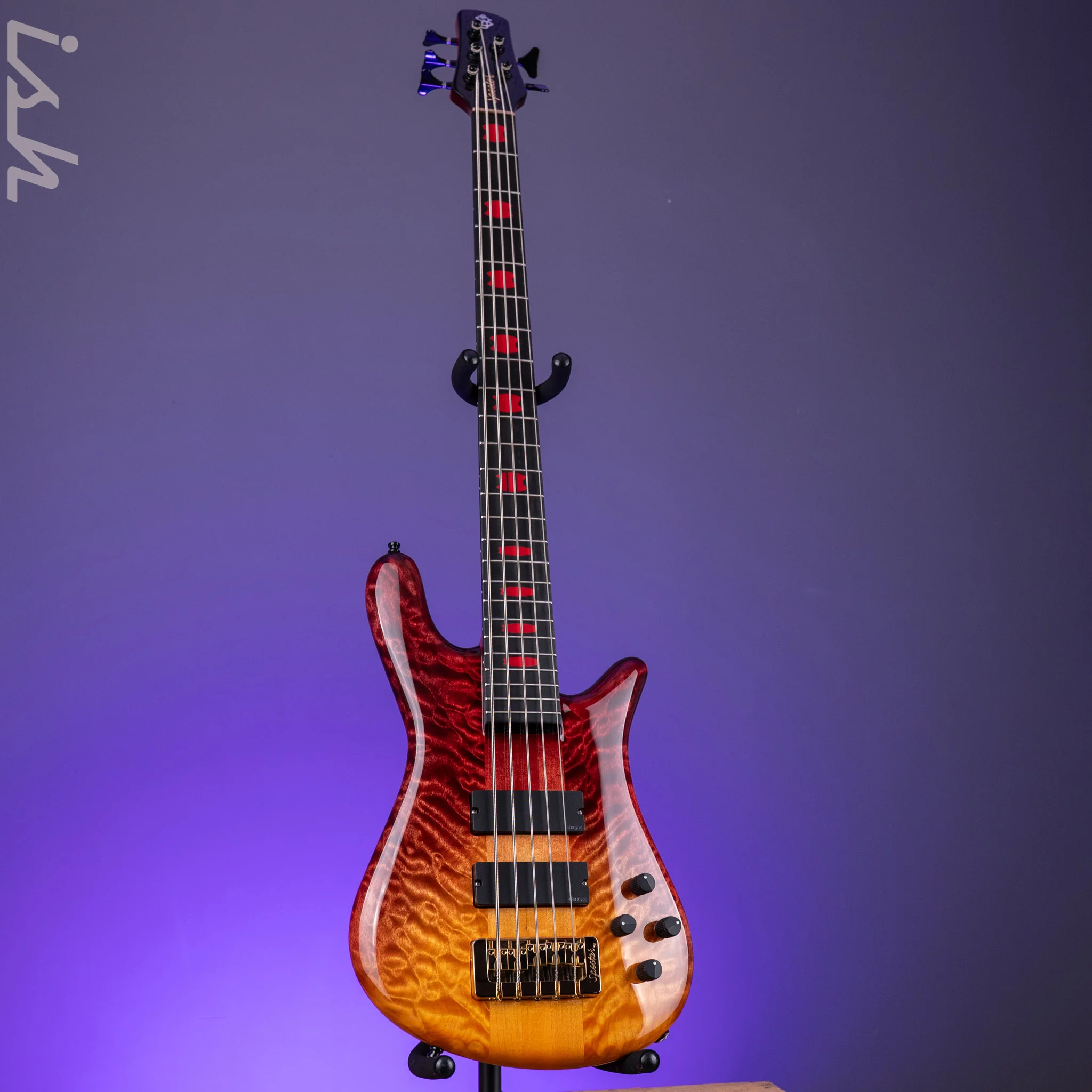 Spector USA NS-5 Fire Fade - Image 2
