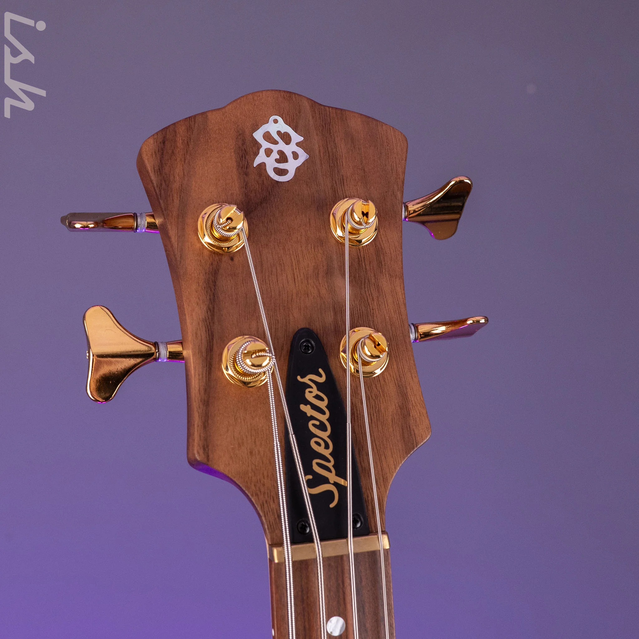Spector USA SB-1 Reissue Limited Edition Walnut - Image 7