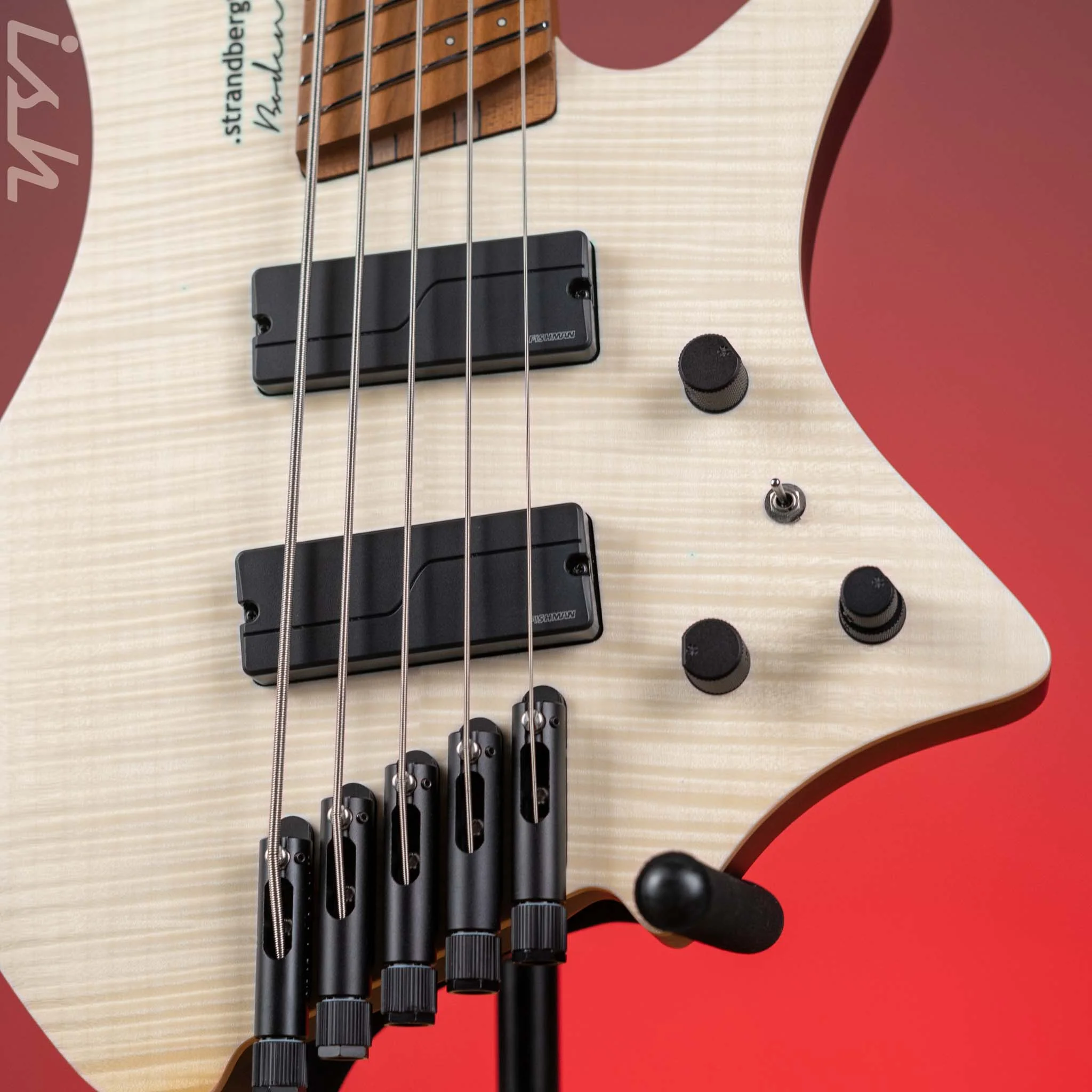 Strandberg Boden Standard 5-String Bass Natural - Image 4
