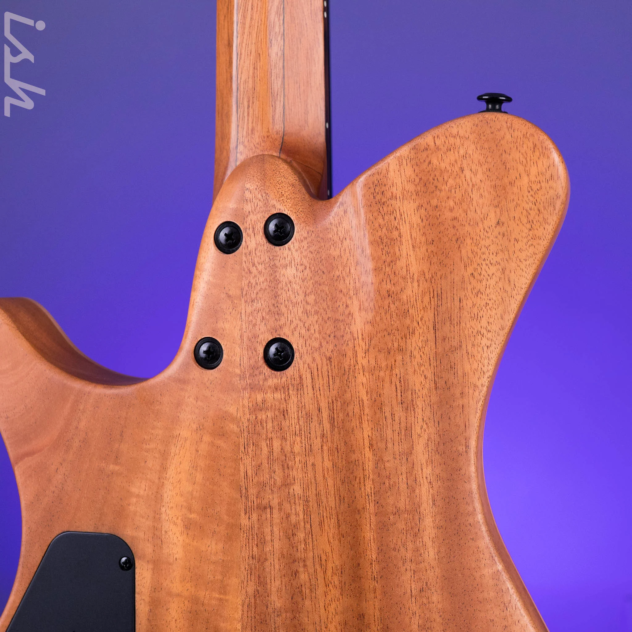 Strandberg Sälen Jazz NX 6 Electric Guitar Natural - Image 9
