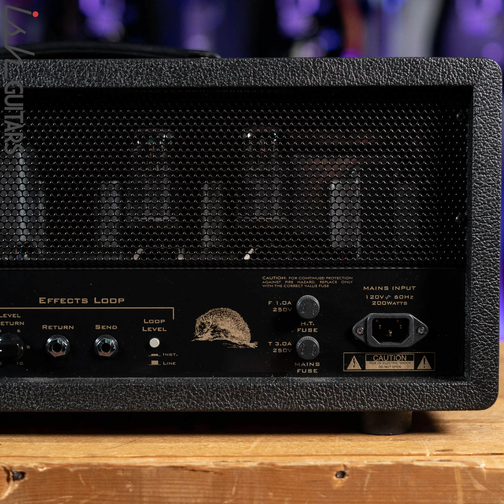 Suhr Hedgehog 50 Watt Amplifier Head - Image 6